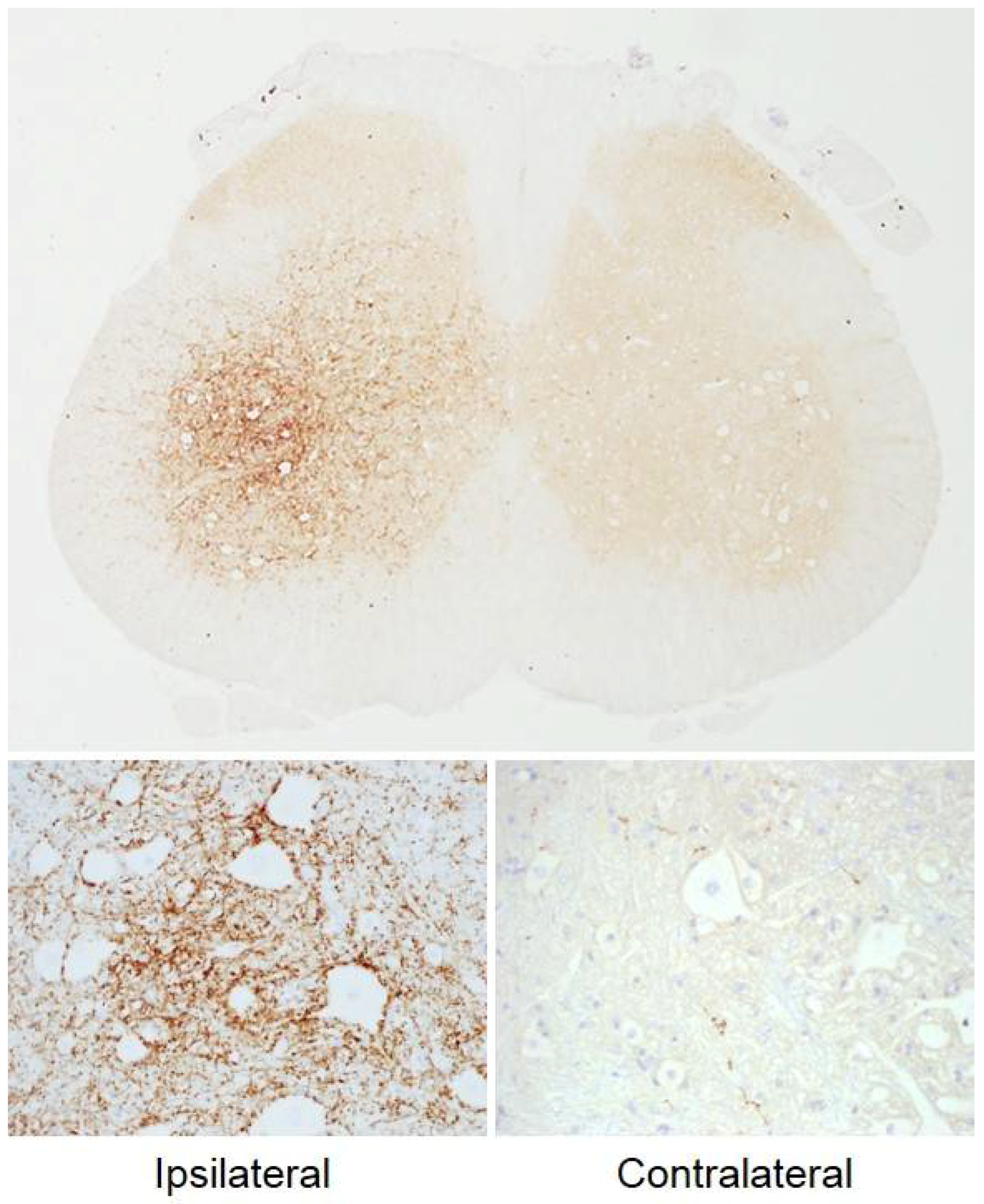 Toxins 10 00208 g002