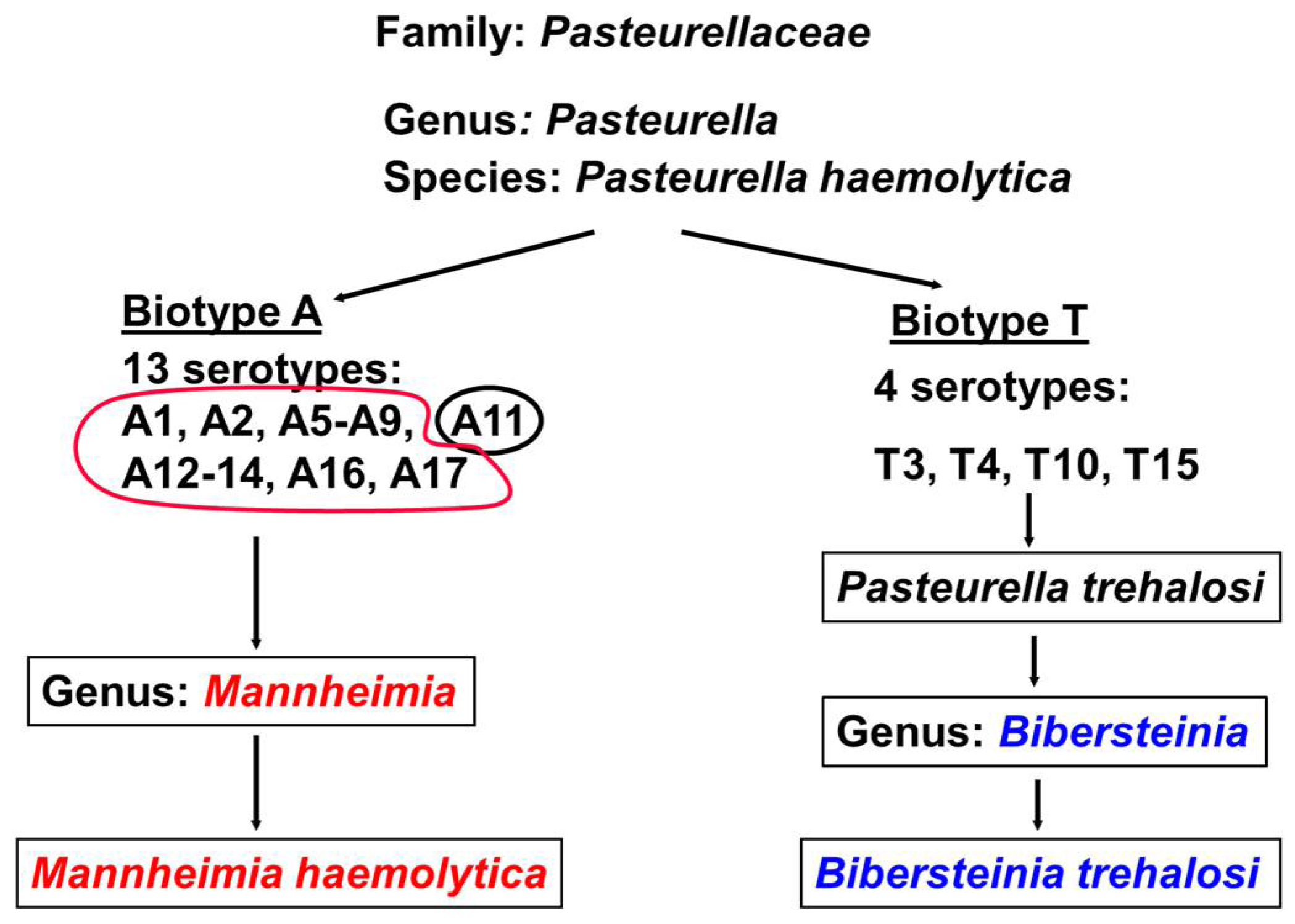 Toxins 10 00220 g001