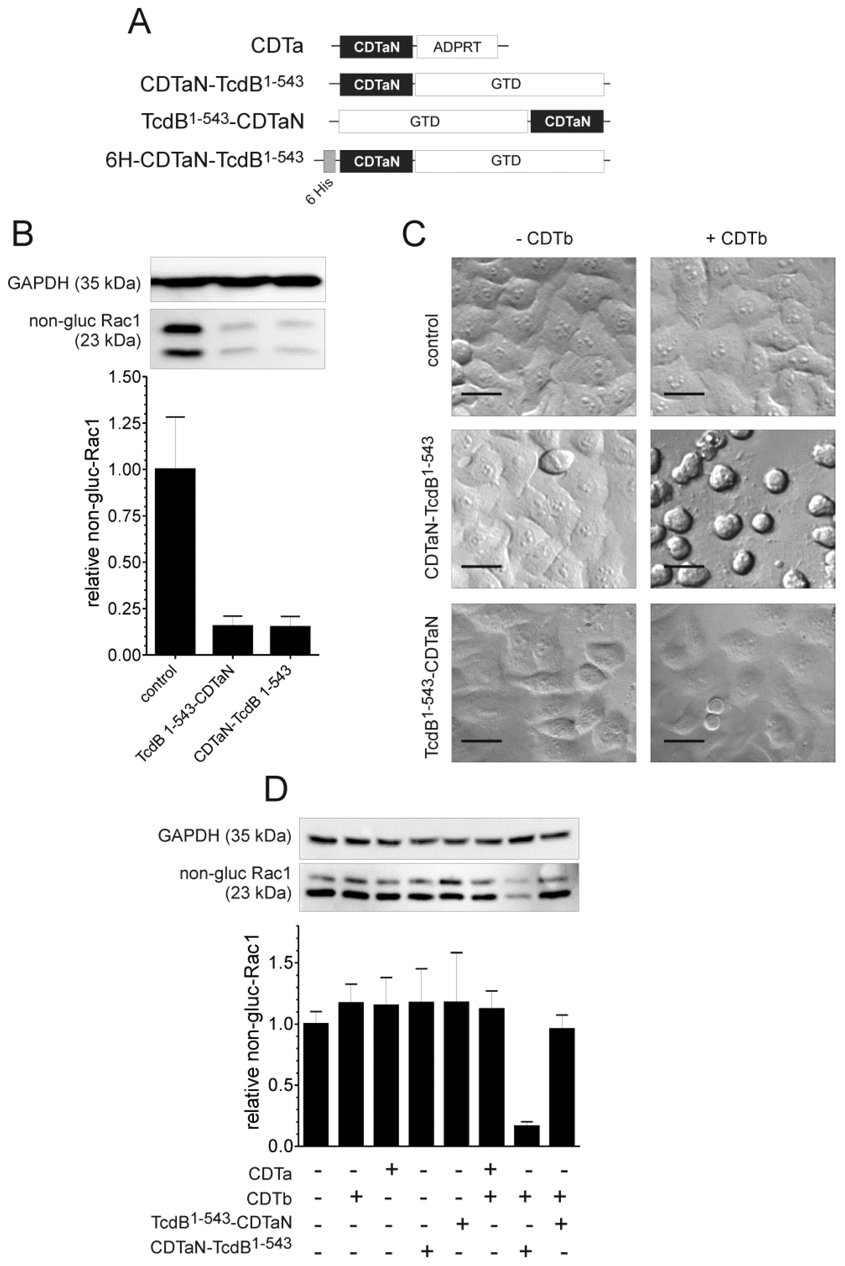 Toxins 10 00225 g002 Toxins 10 00225 g002