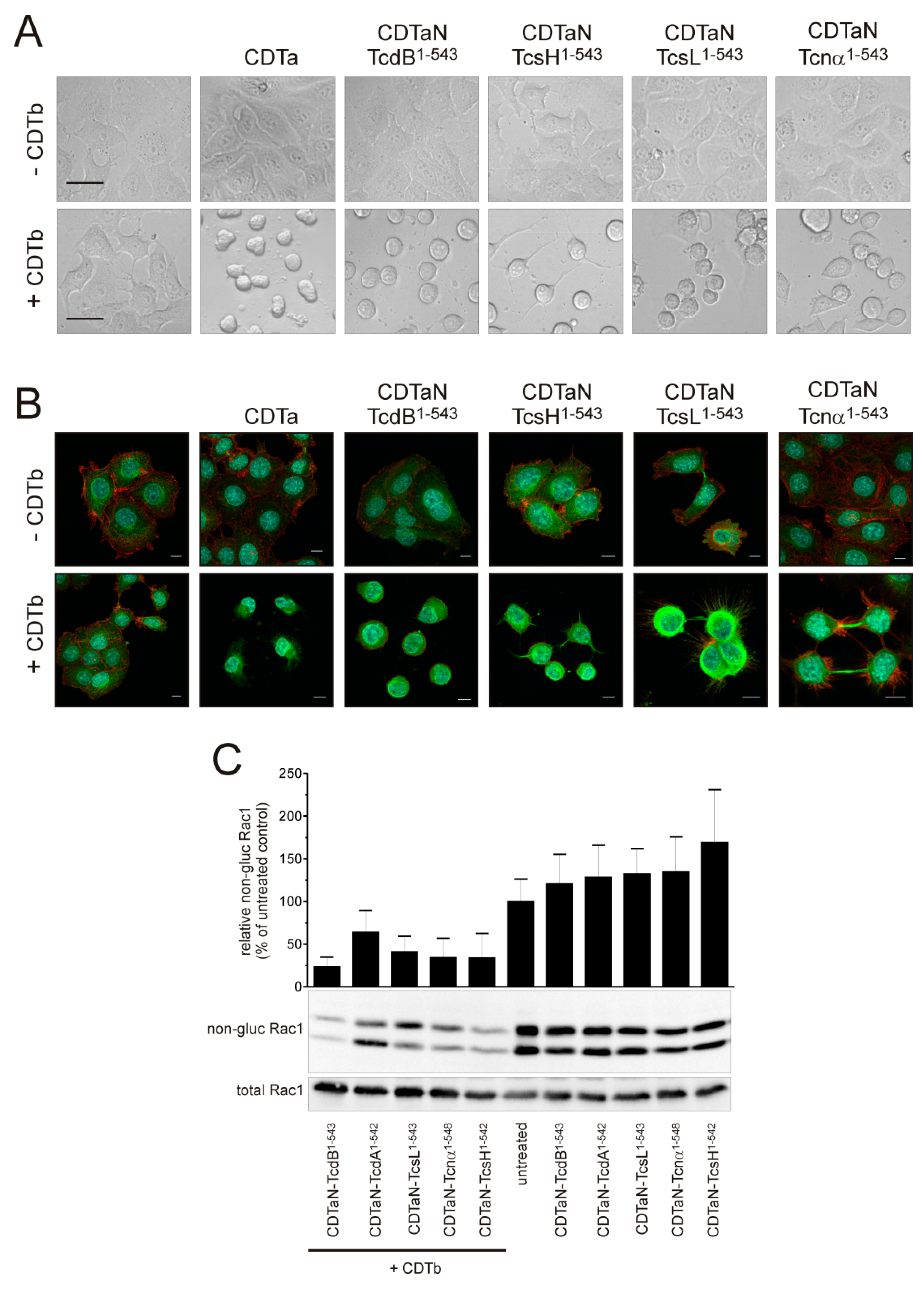 Toxins 10 00225 g003 Toxins 10 00225 g003