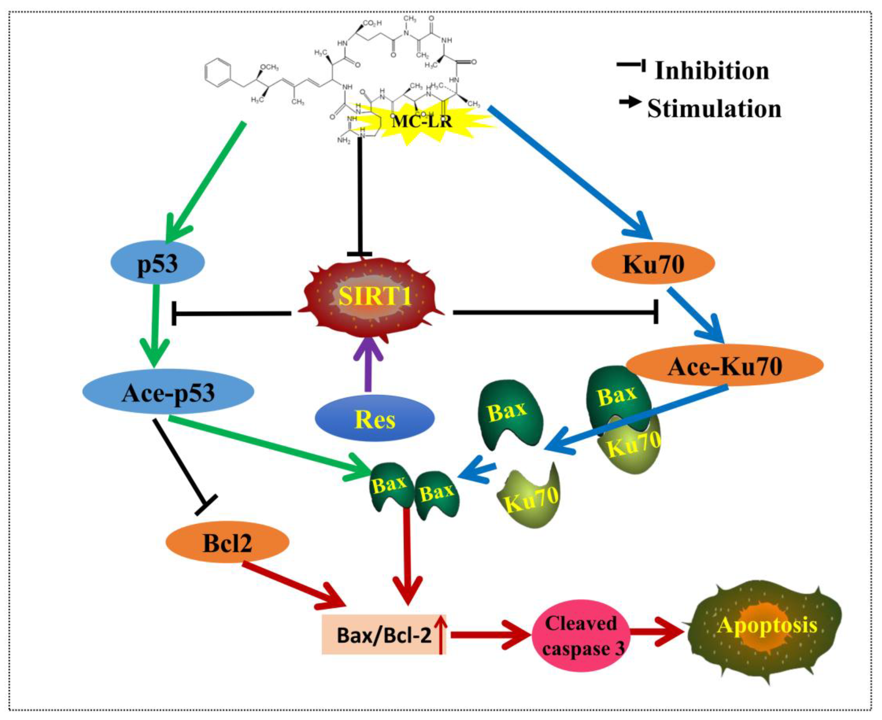 Toxins 10 00235 g008 Toxins 10 00235 g008
