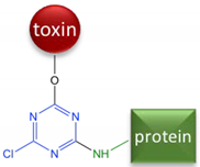 Toxins 10 00265 i002