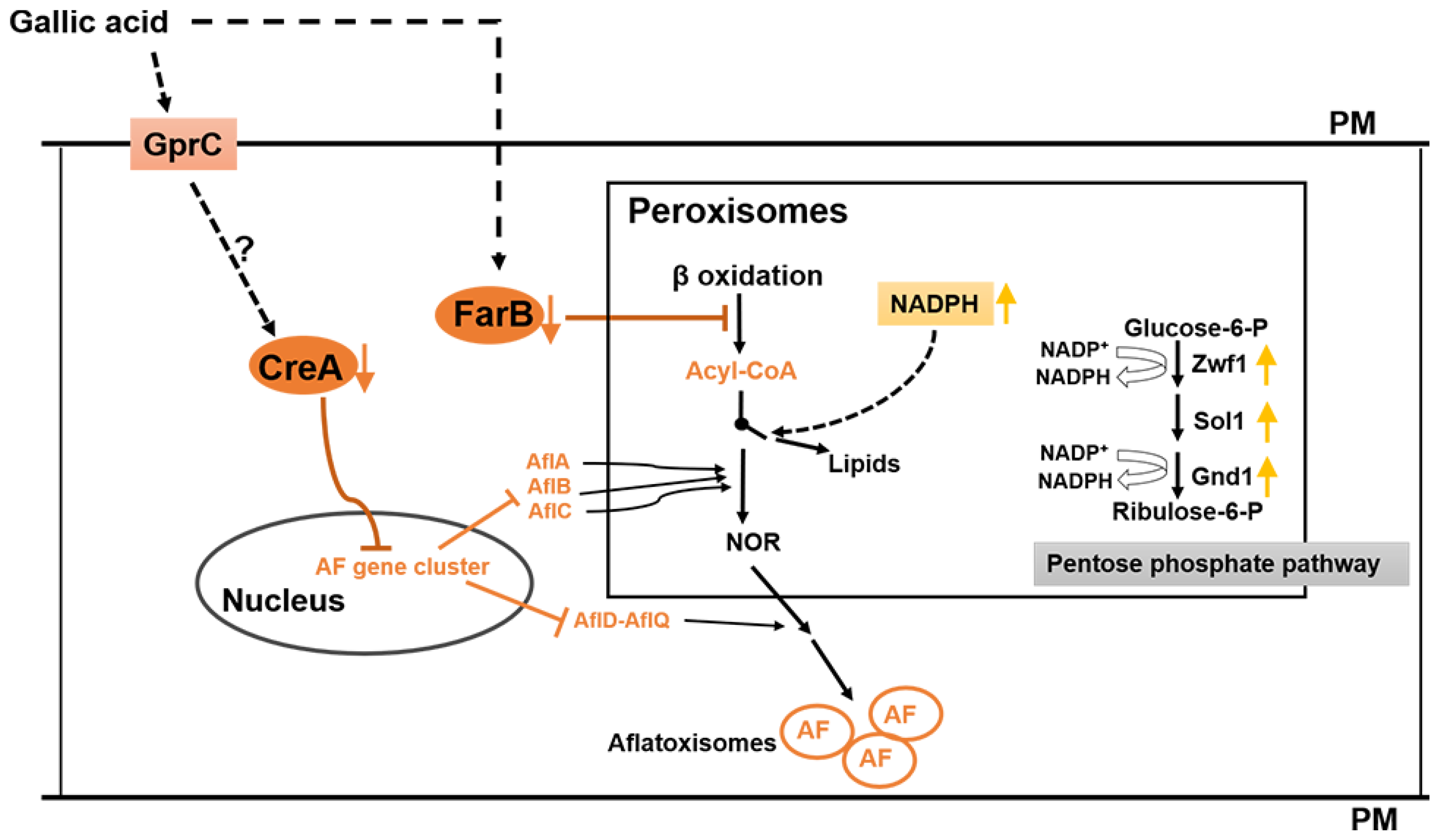 Toxins 10 00270 g007
