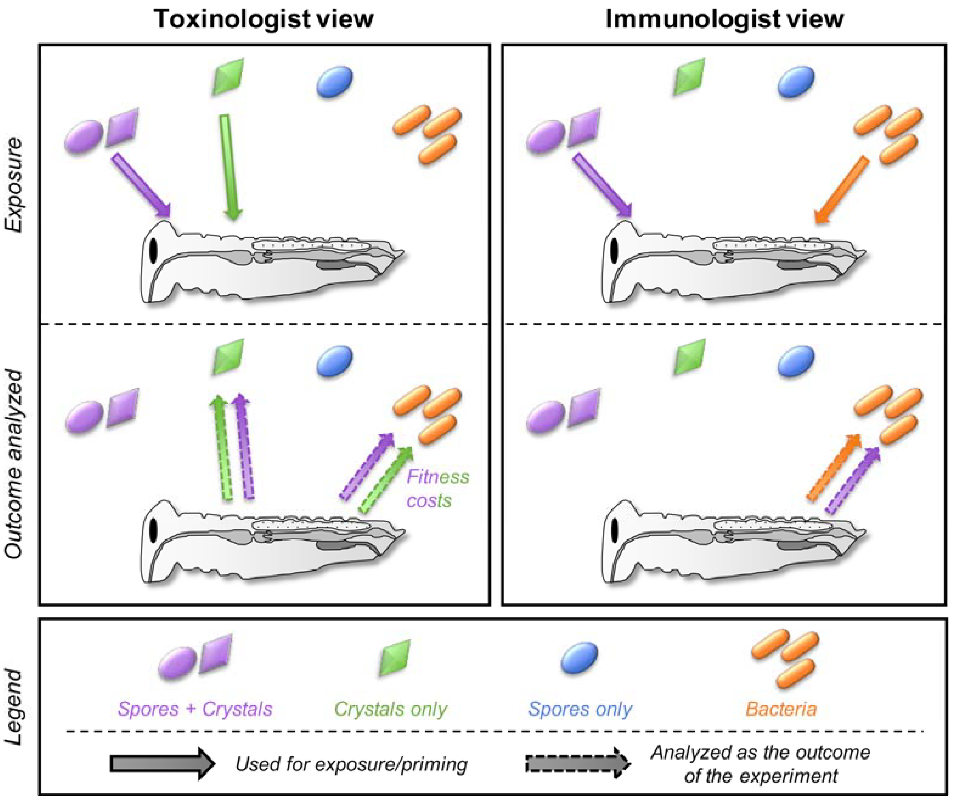 Toxins 10 00281 g002 Toxins 10 00281 g002