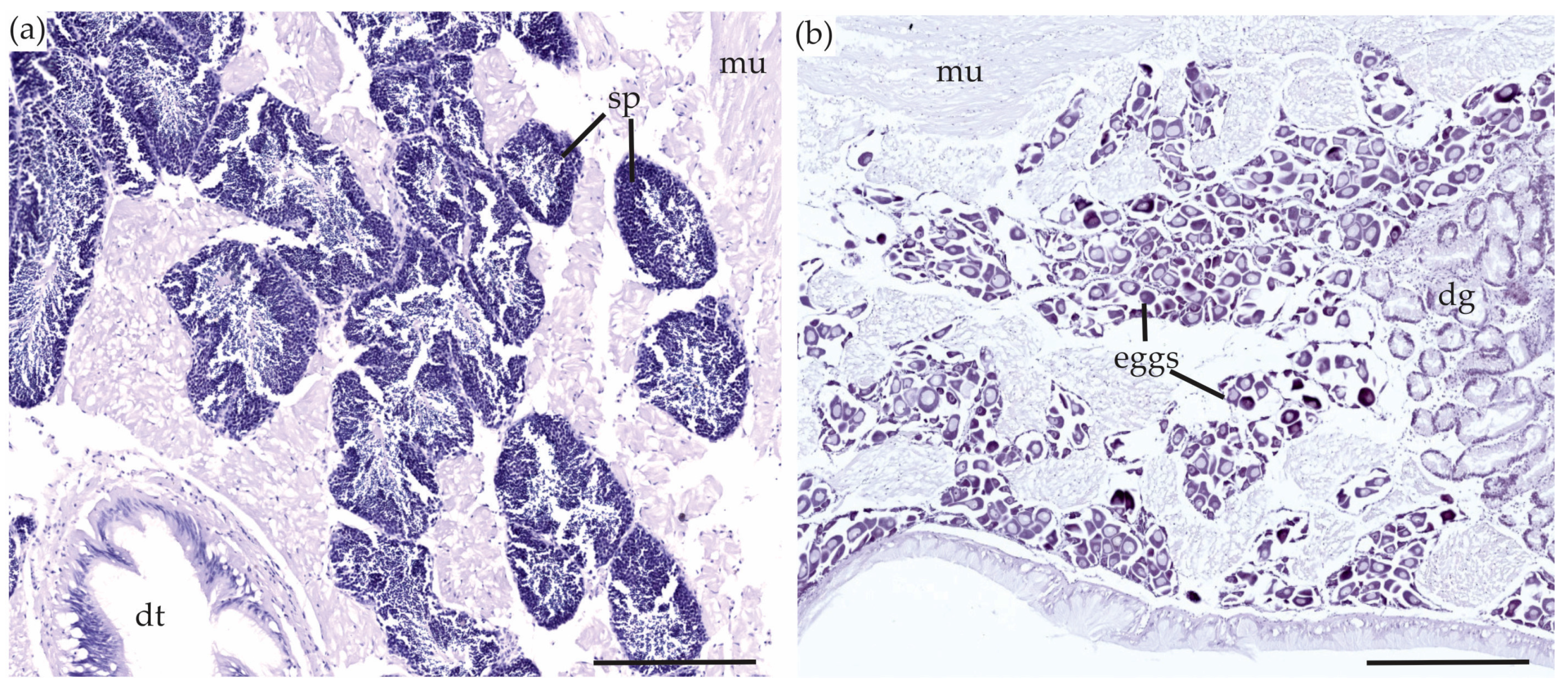 Toxins 10 00282 g004
