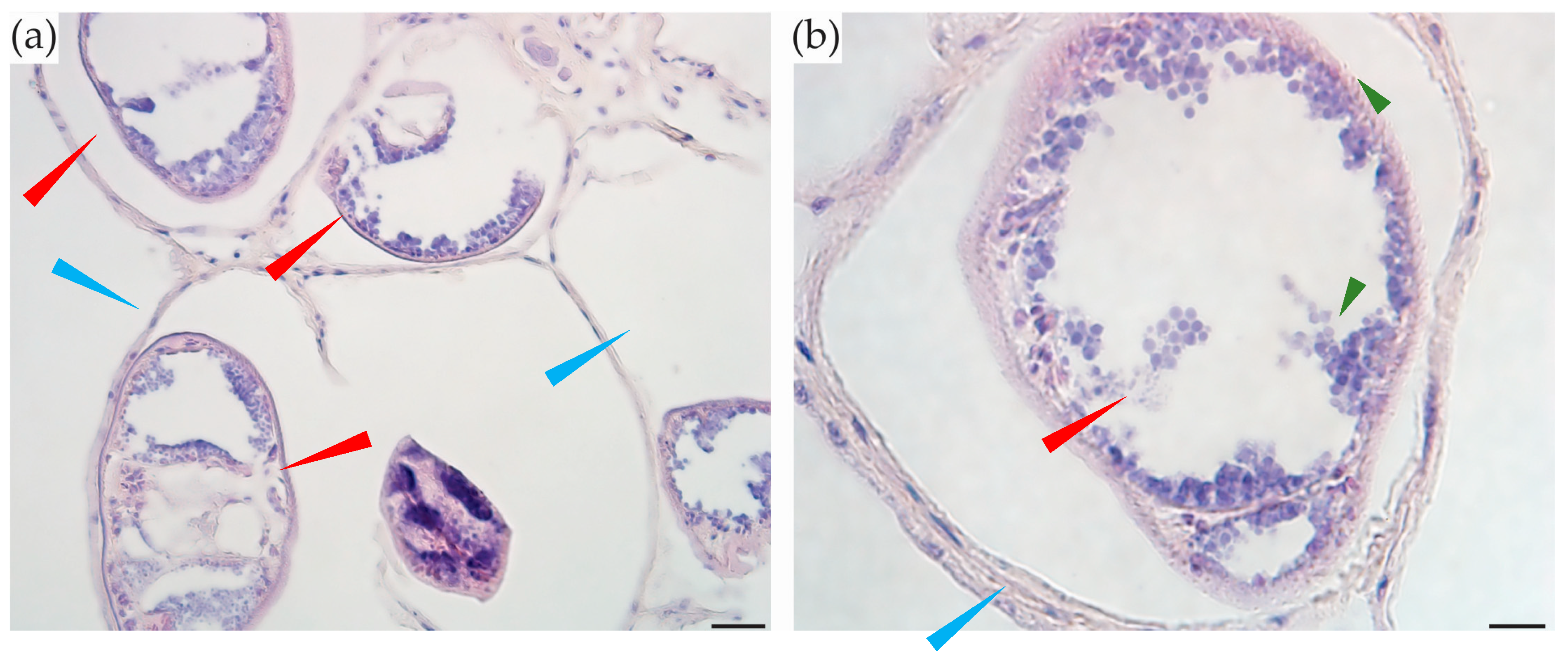 Toxins 10 00282 g006