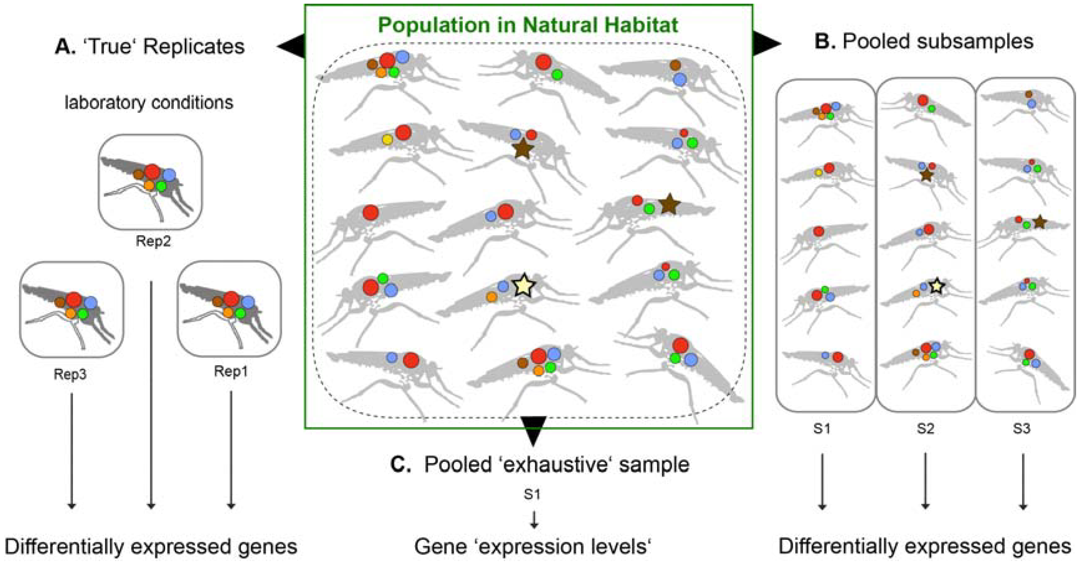 Toxins 10 00292 g002