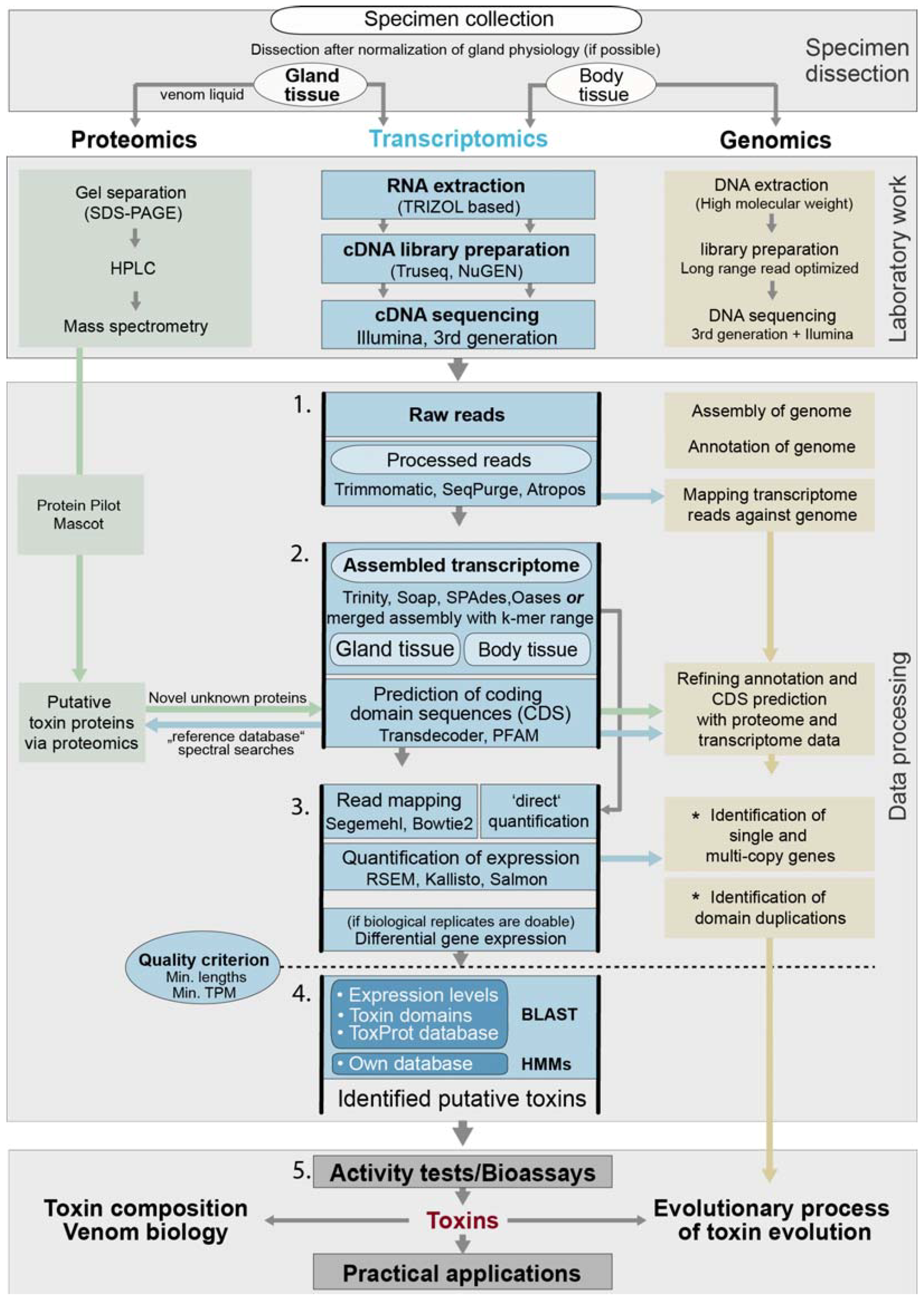 Toxins 10 00292 g003
