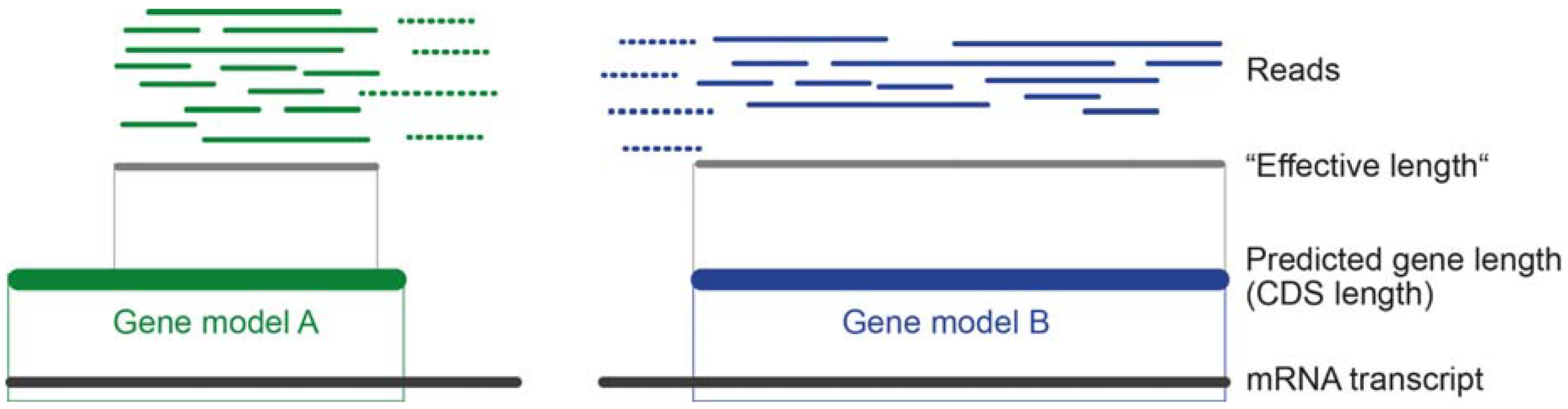 Toxins 10 00292 g004