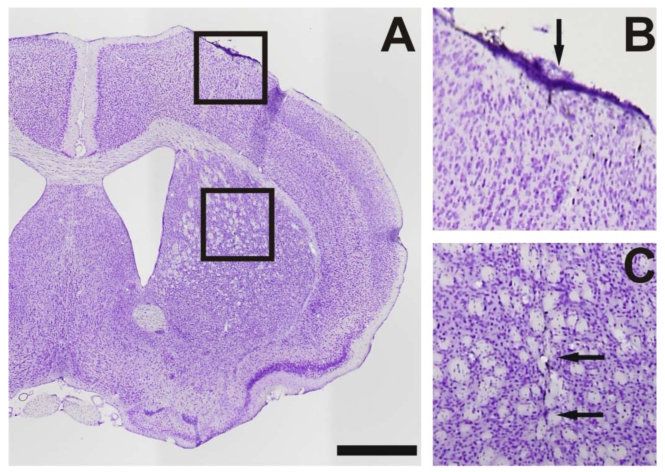 Toxins 10 00295 g005 Toxins 10 00295 g005