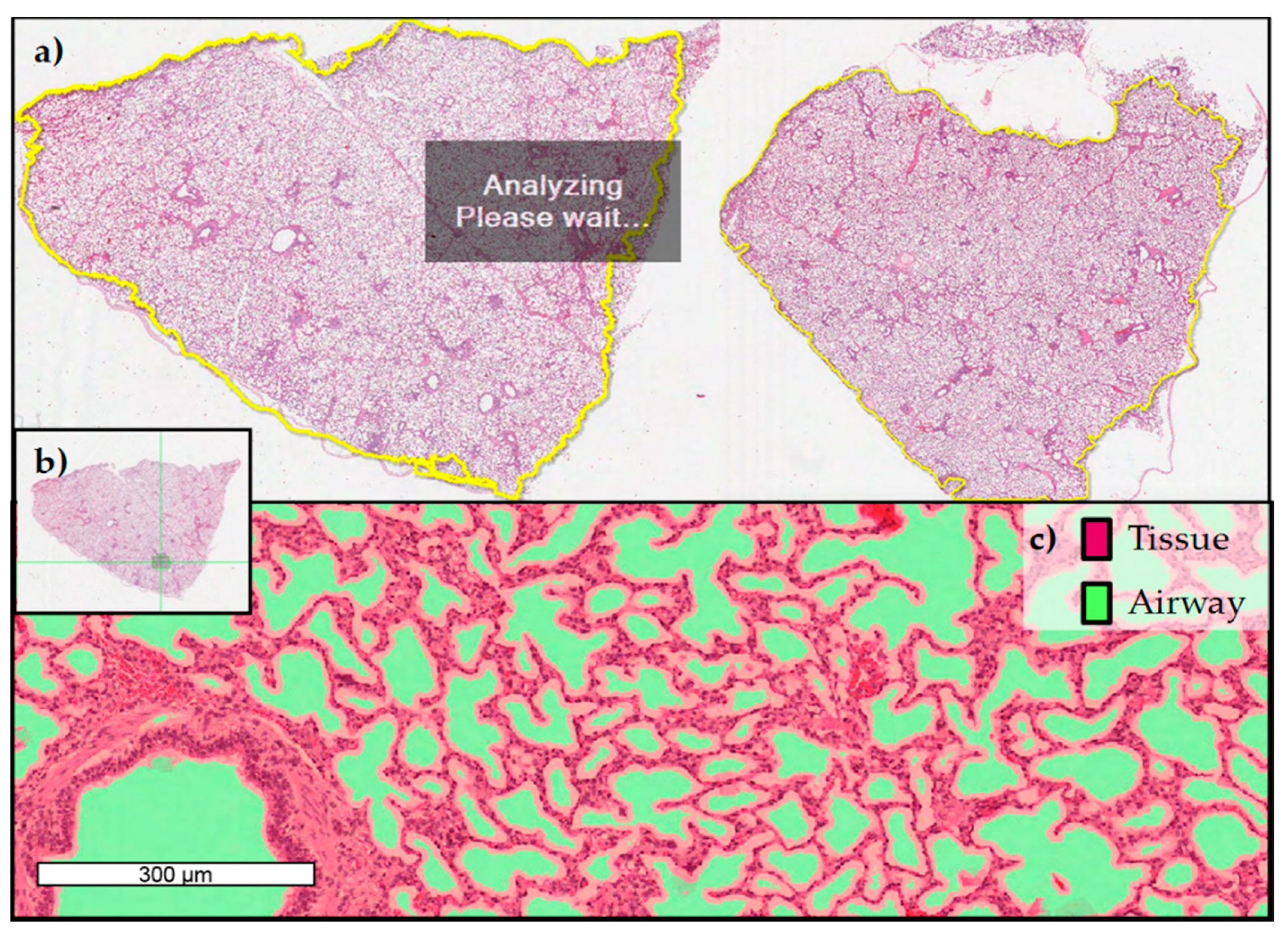 Toxins 10 00296 g008 Toxins 10 00296 g008
