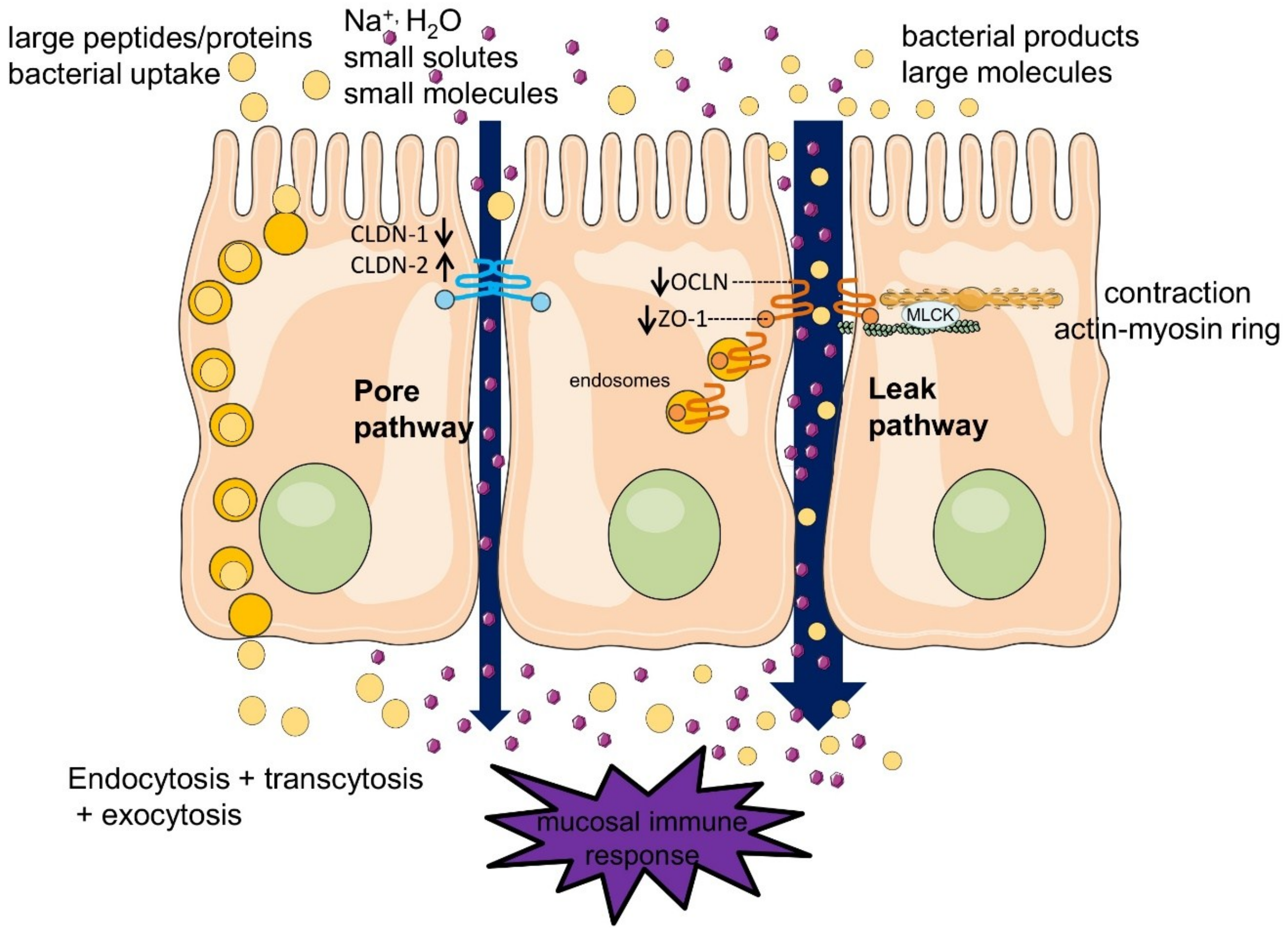 Toxins 10 00298 g001 Toxins 10 00298 g001