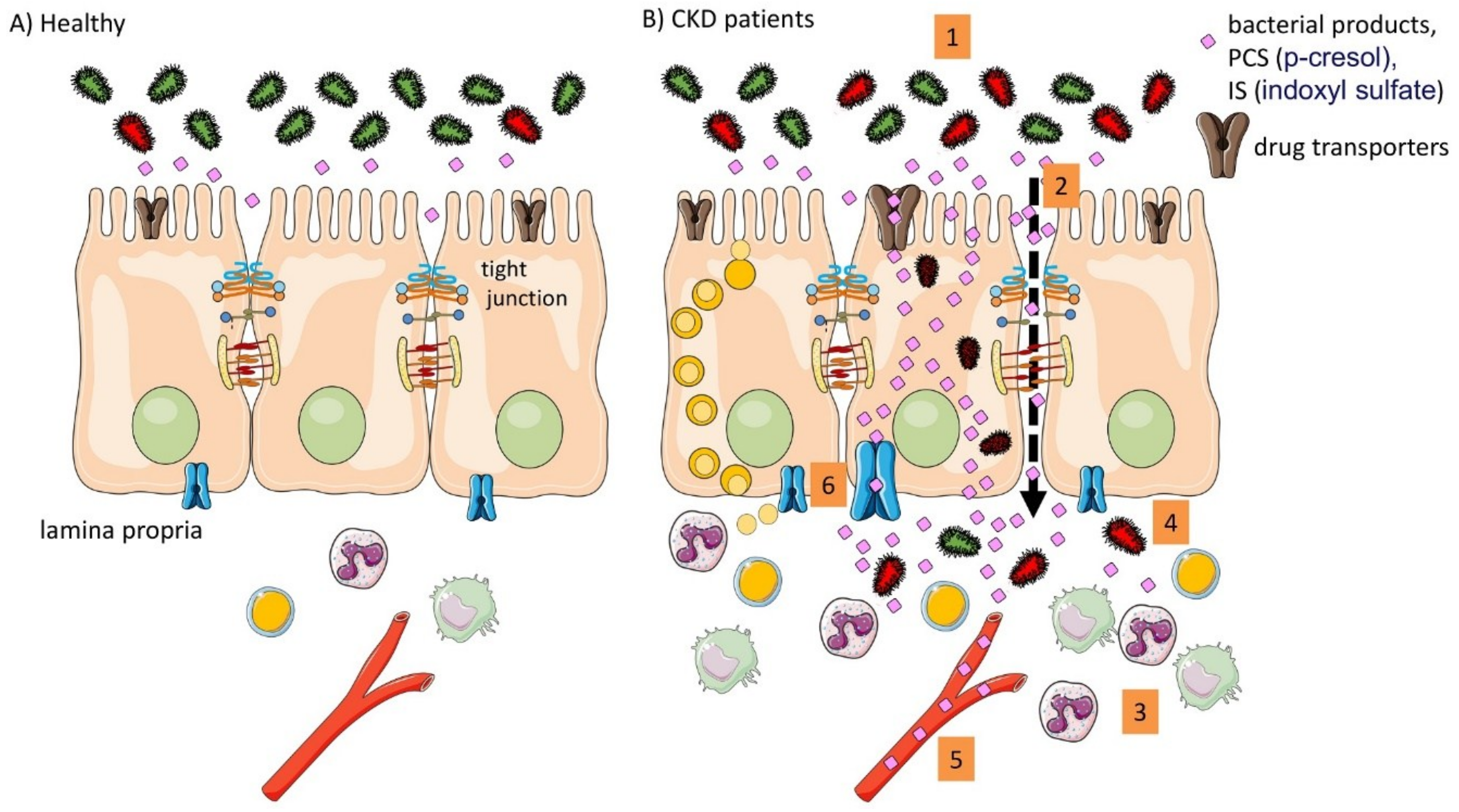 Toxins 10 00298 g002 Toxins 10 00298 g002