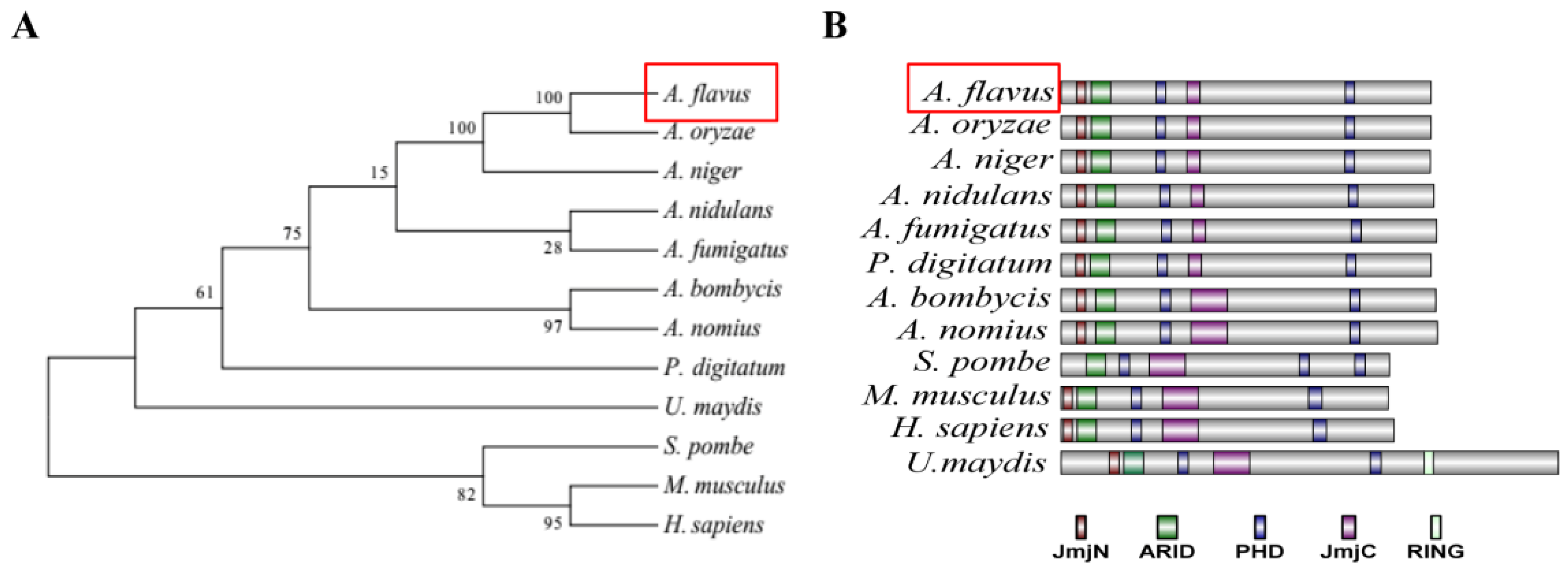 Toxins 10 00301 g001 Toxins 10 00301 g001
