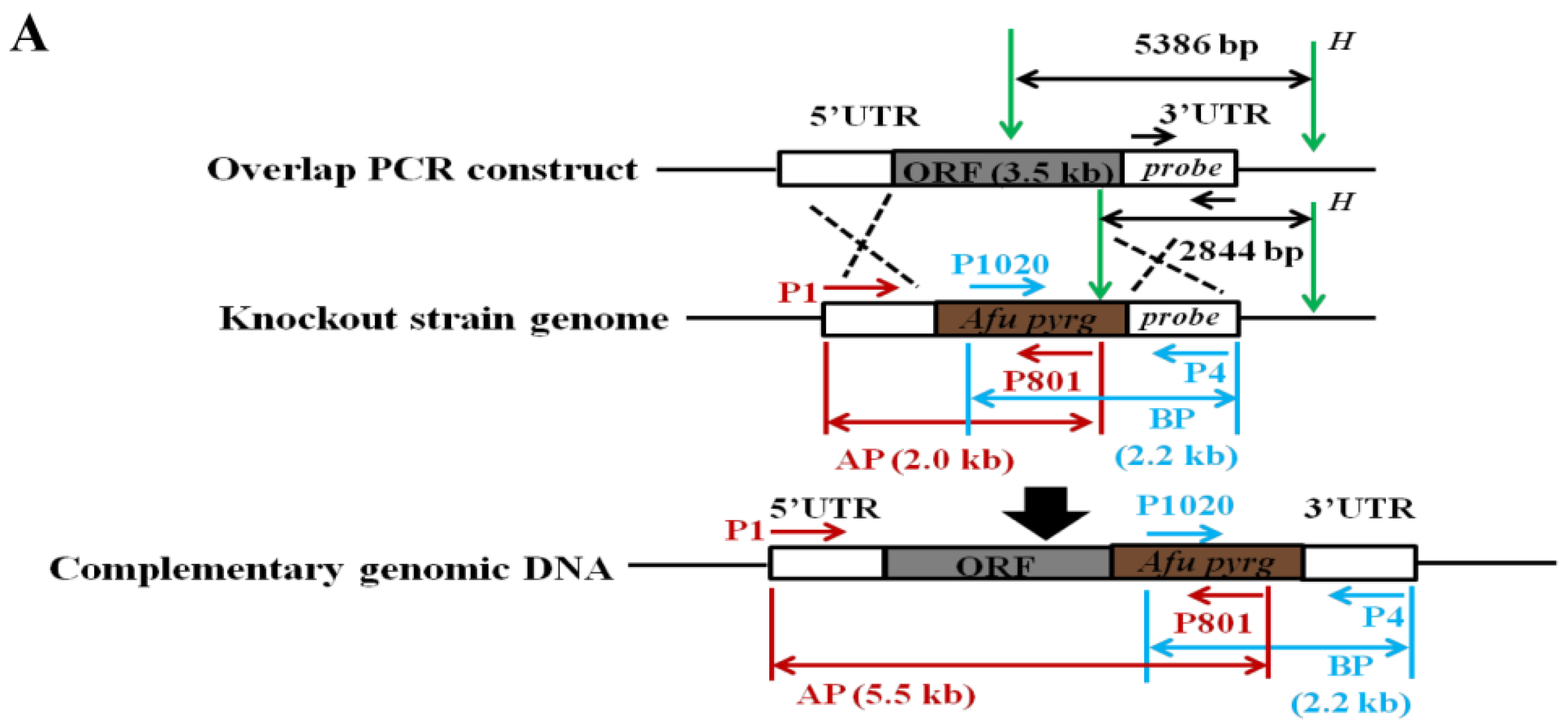 Toxins 10 00301 g002a Toxins 10 00301 g002a