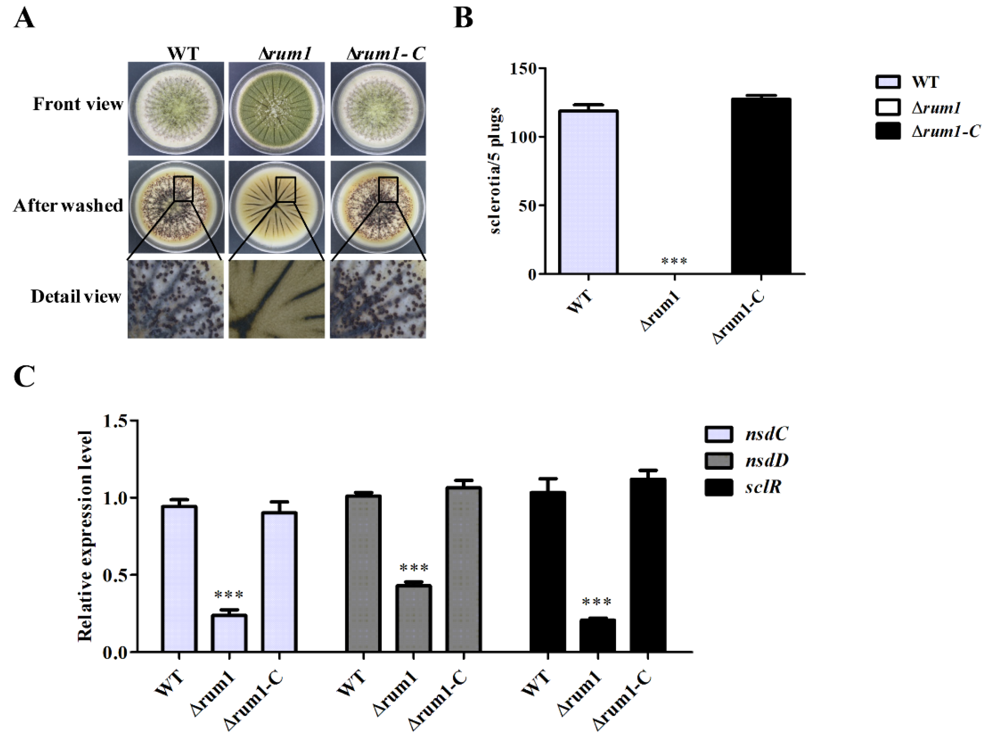 Toxins 10 00301 g004 Toxins 10 00301 g004
