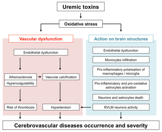 uremic toxins: classification