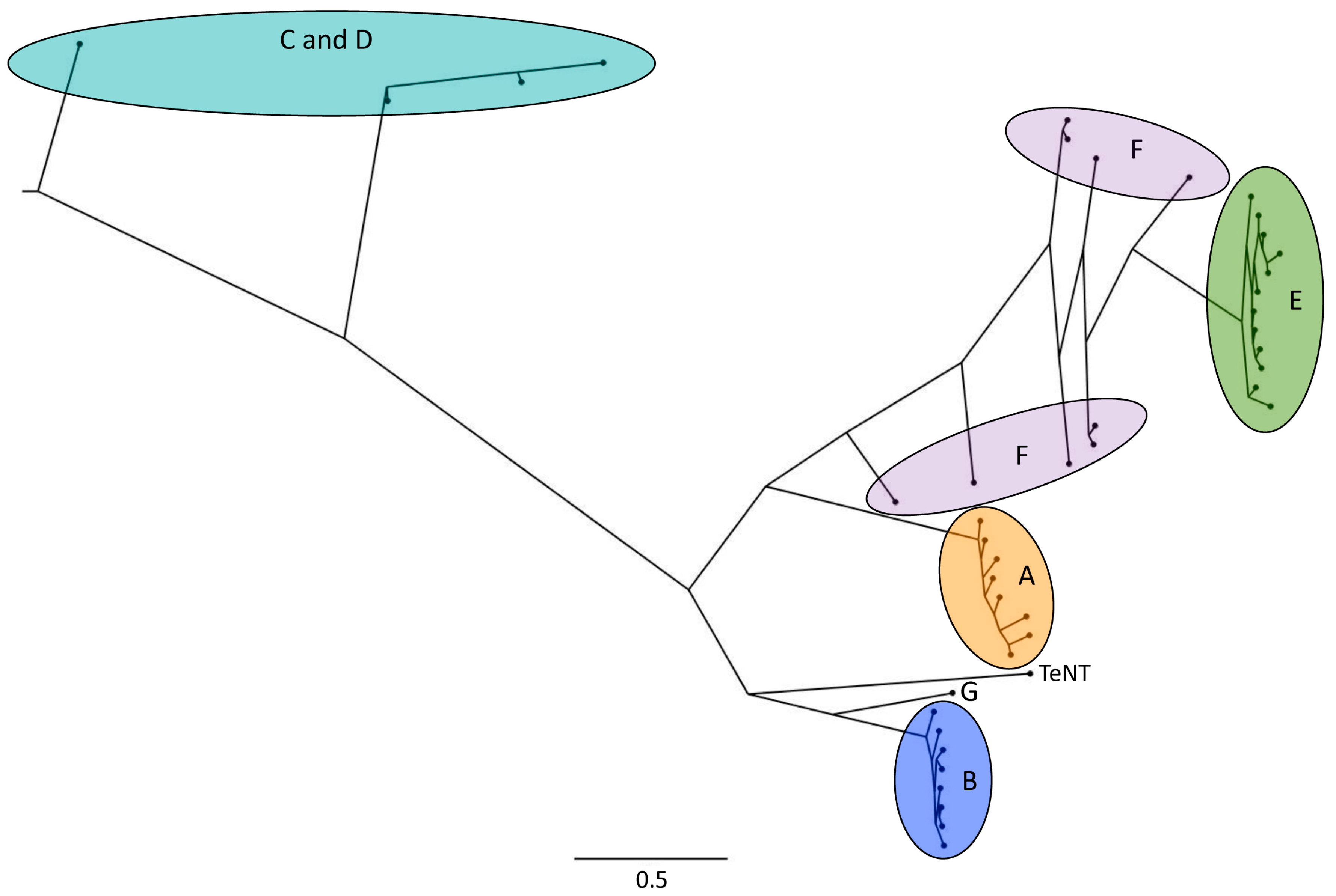 Toxins 10 00310 g001 Toxins 10 00310 g001