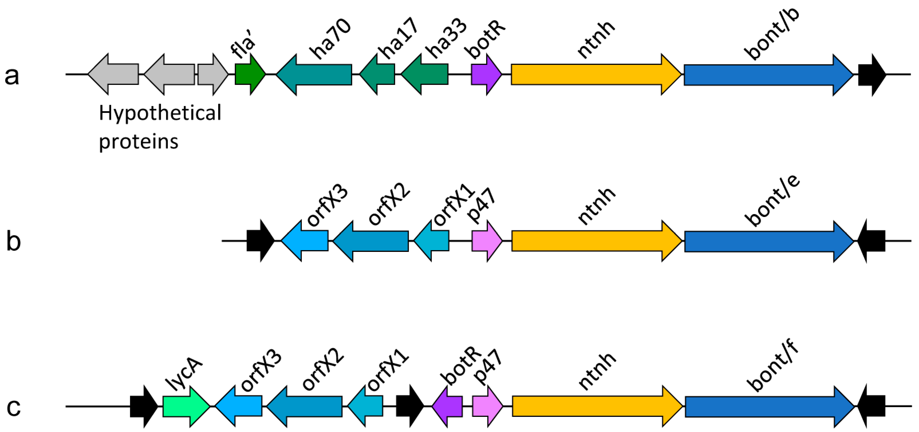 Toxins 10 00310 g002 Toxins 10 00310 g002