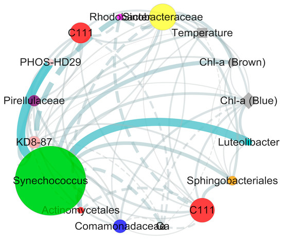 Variations of Bacterial Community Composition and Functions in an