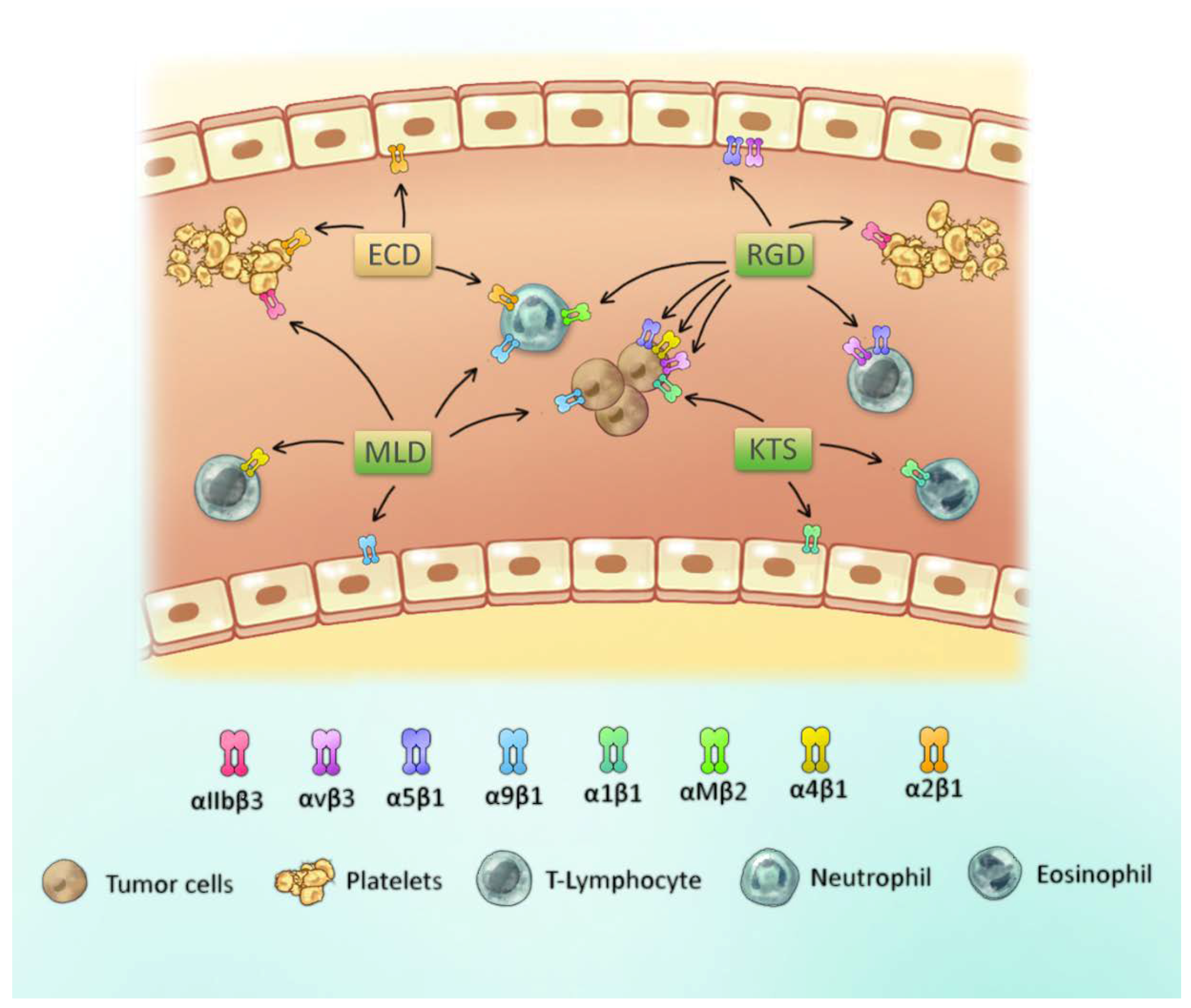 Toxins 10 00321 g002