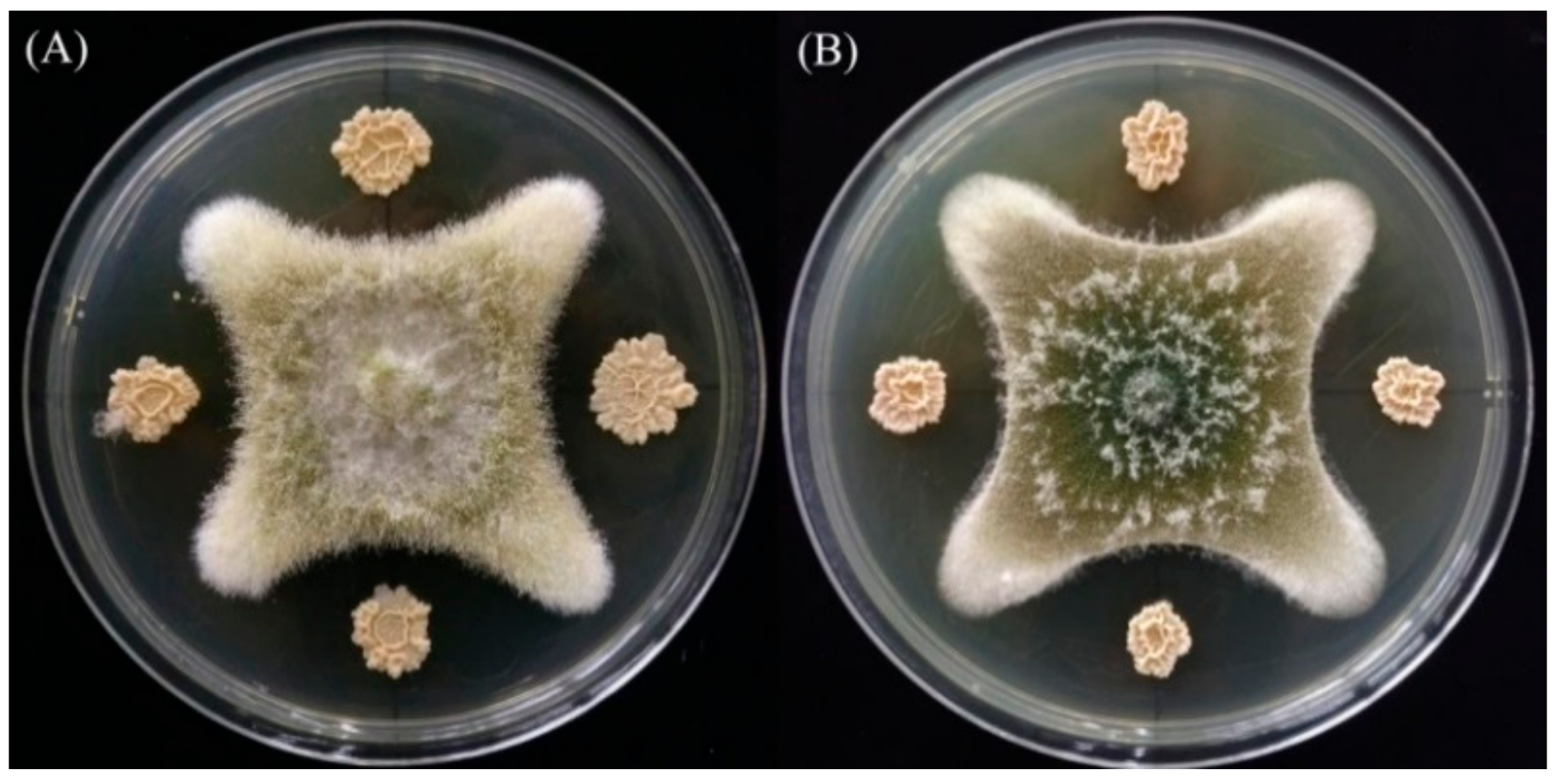 Toxins 10 00330 g001