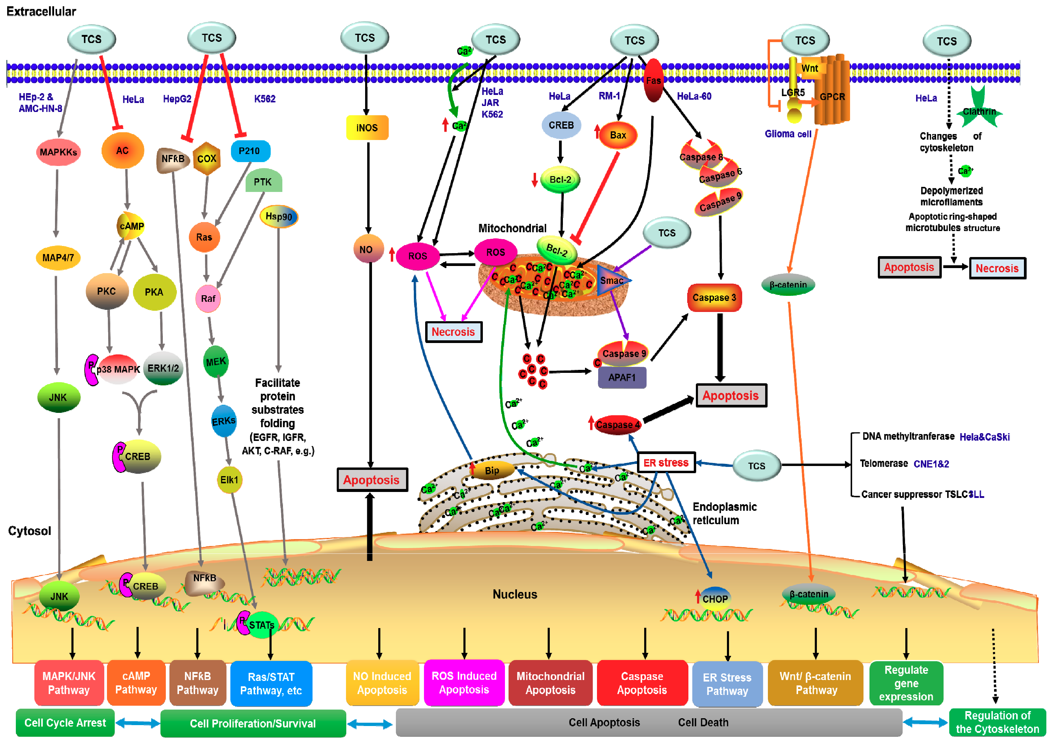 Toxins 10 00335 g004 Toxins 10 00335 g004