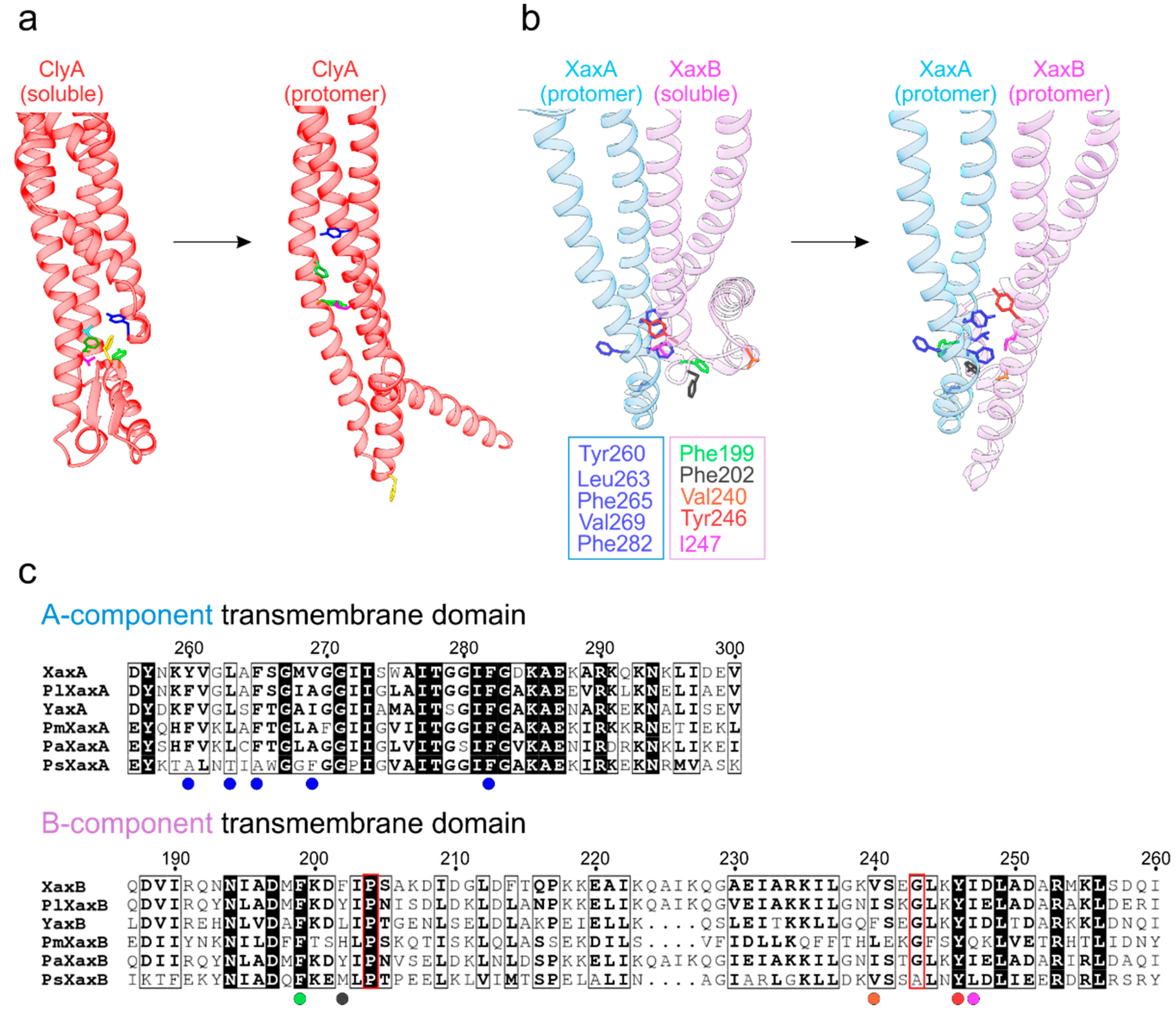 Toxins 10 00343 g003