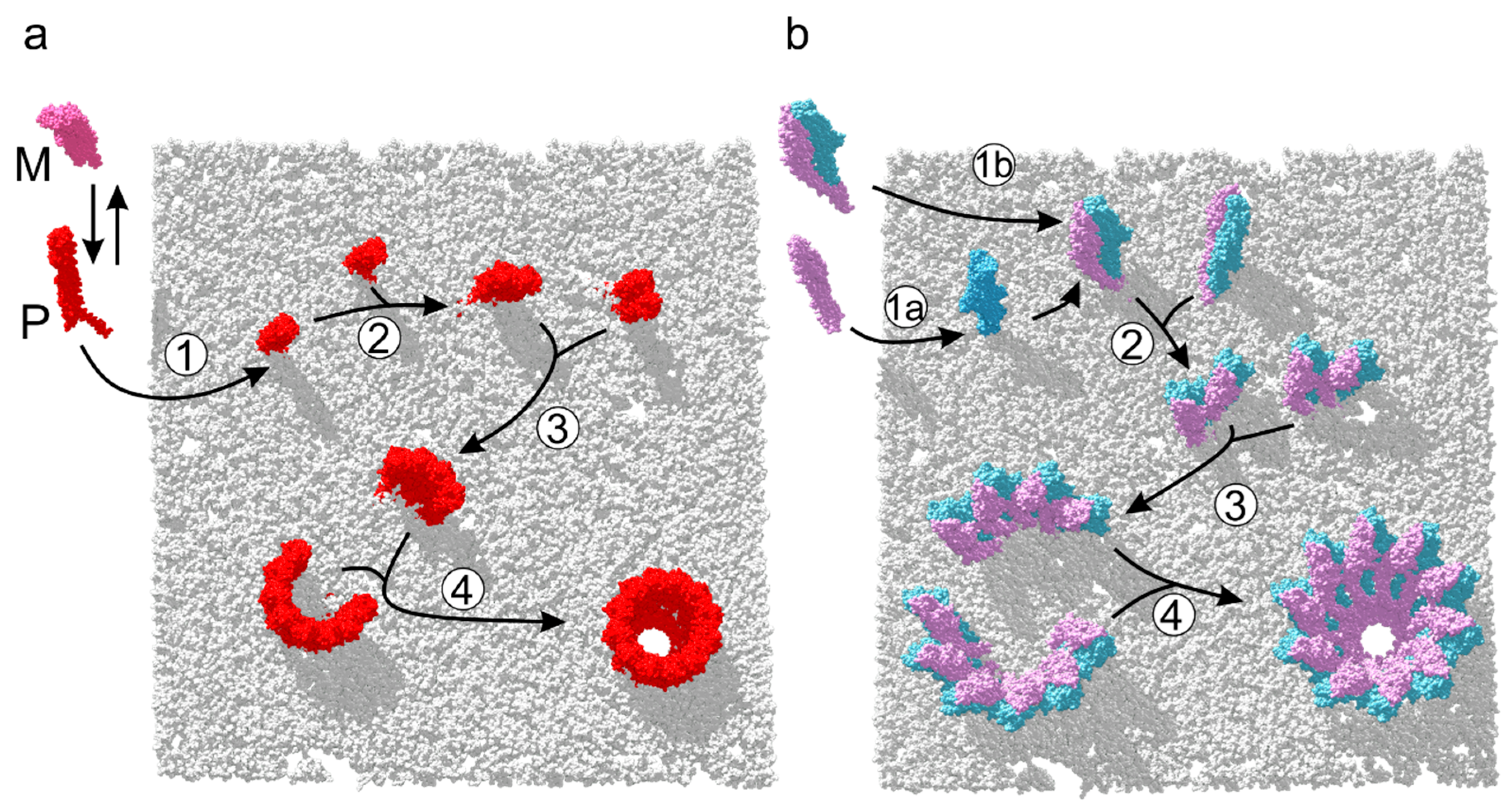 Toxins 10 00343 g004