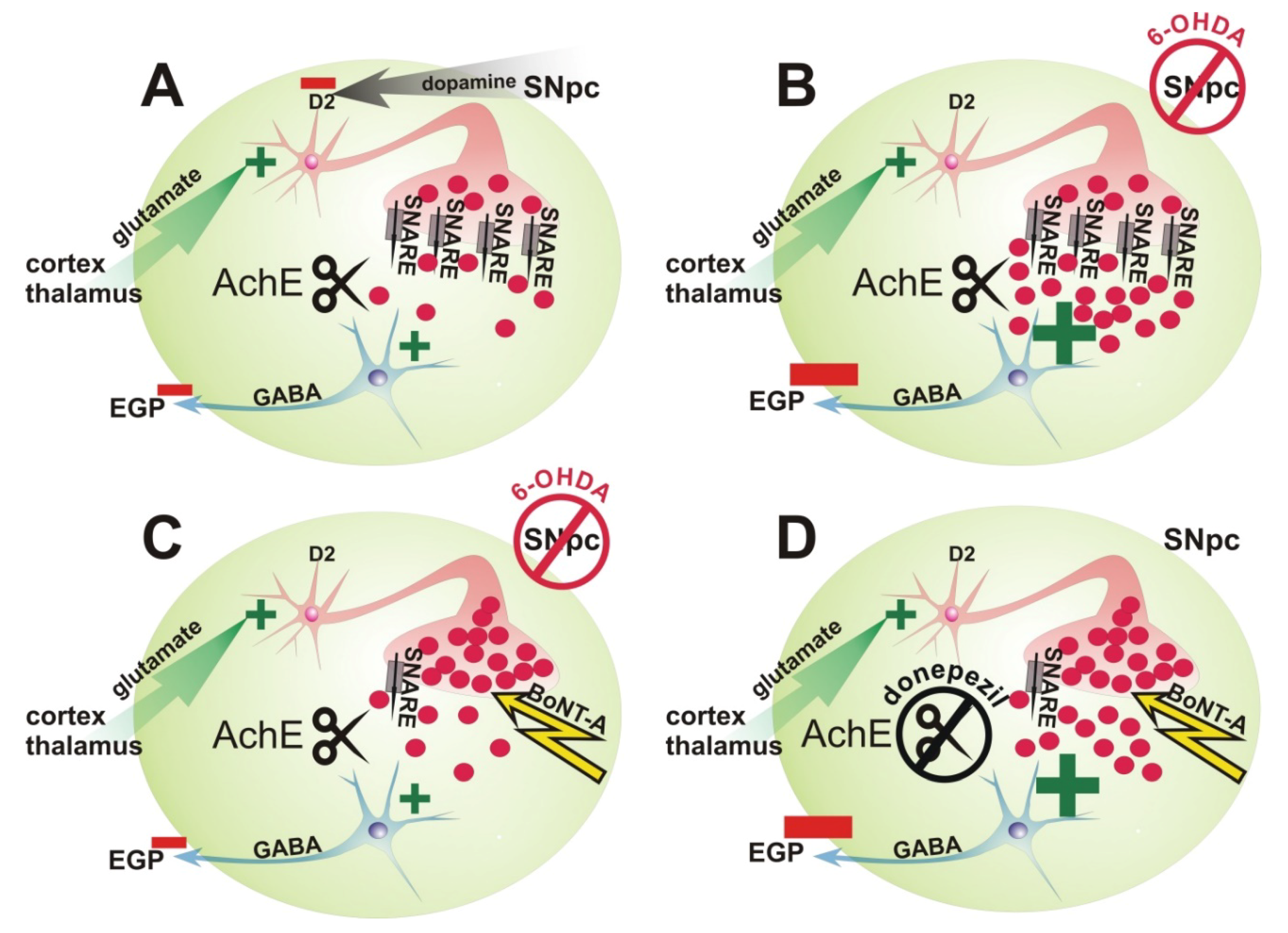 Toxins 10 00368 g001 Toxins 10 00368 g001
