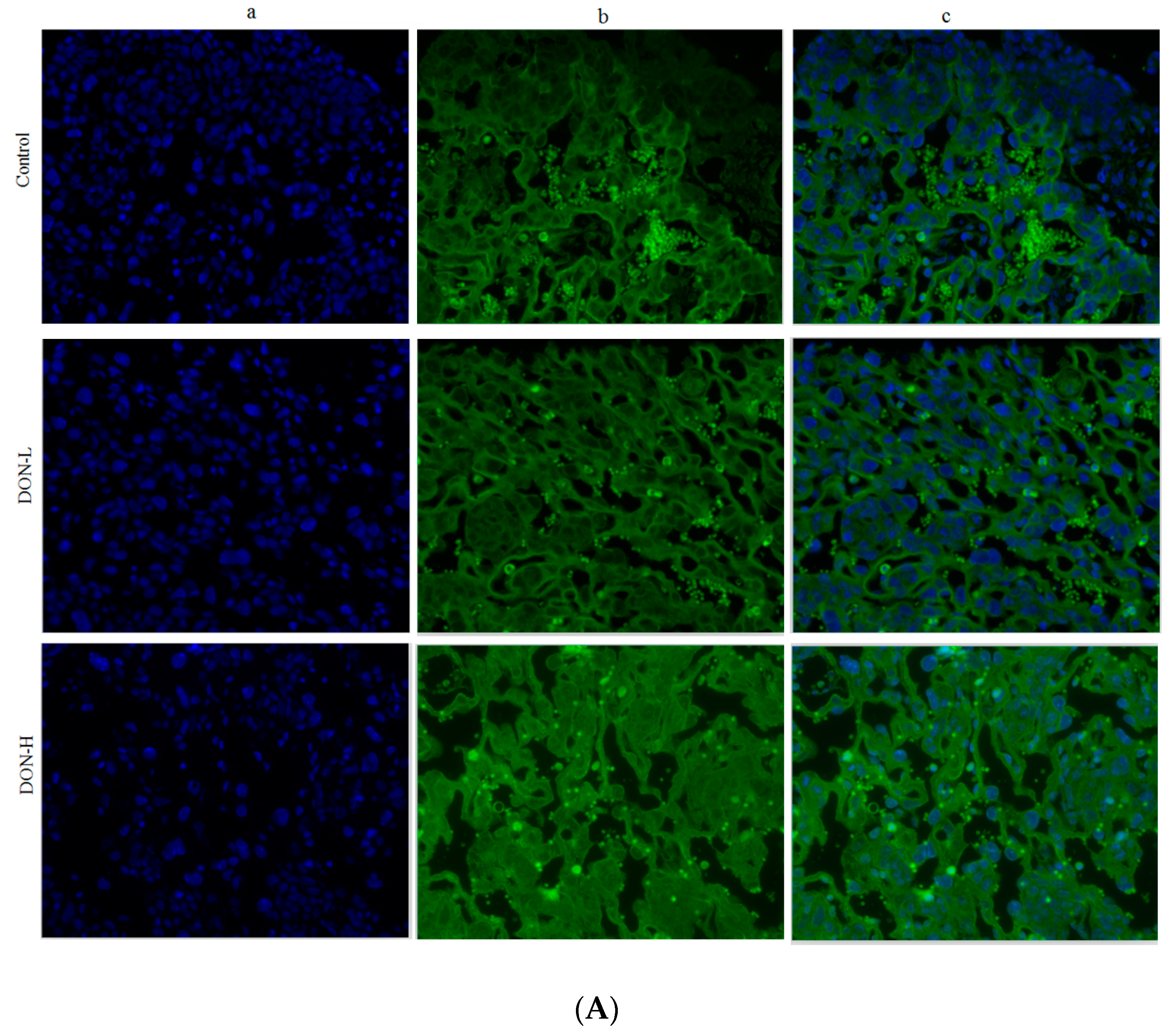 Toxins 10 00370 g006a