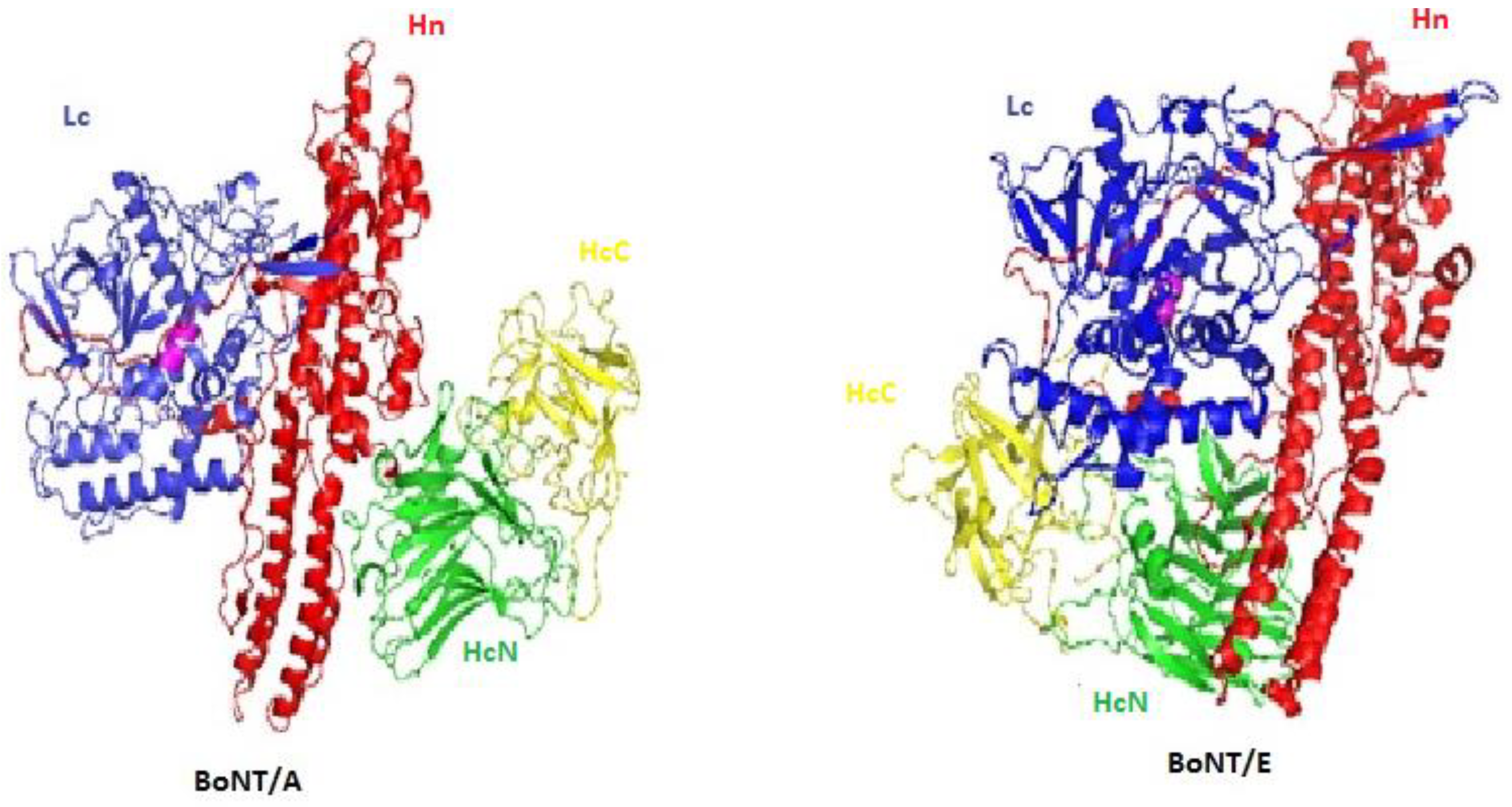 Prota Structure 2018 Activation Prota Structure 2018 Activation