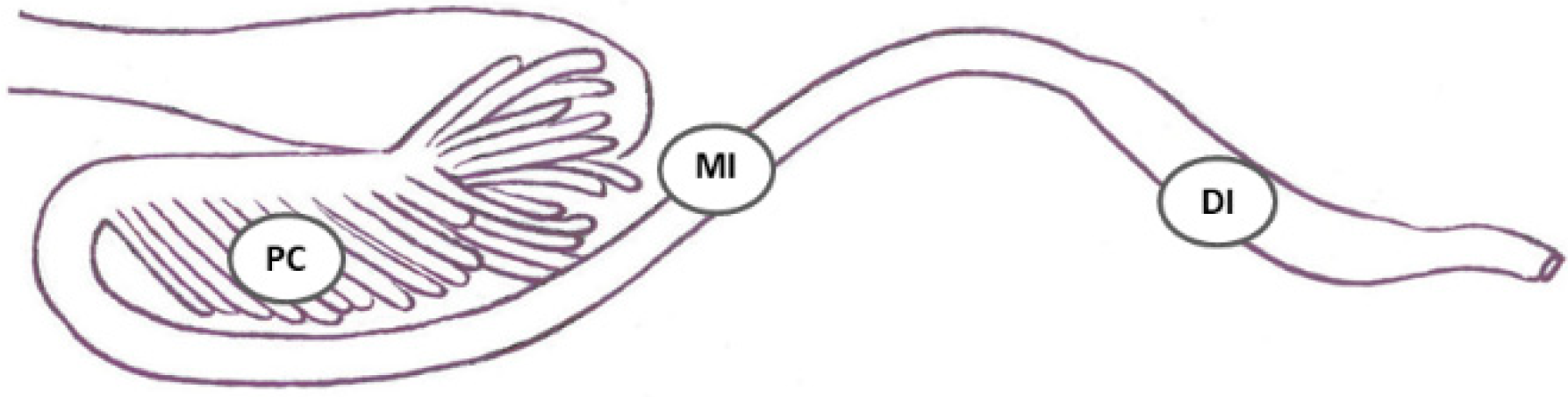 Toxins 10 00376 g006