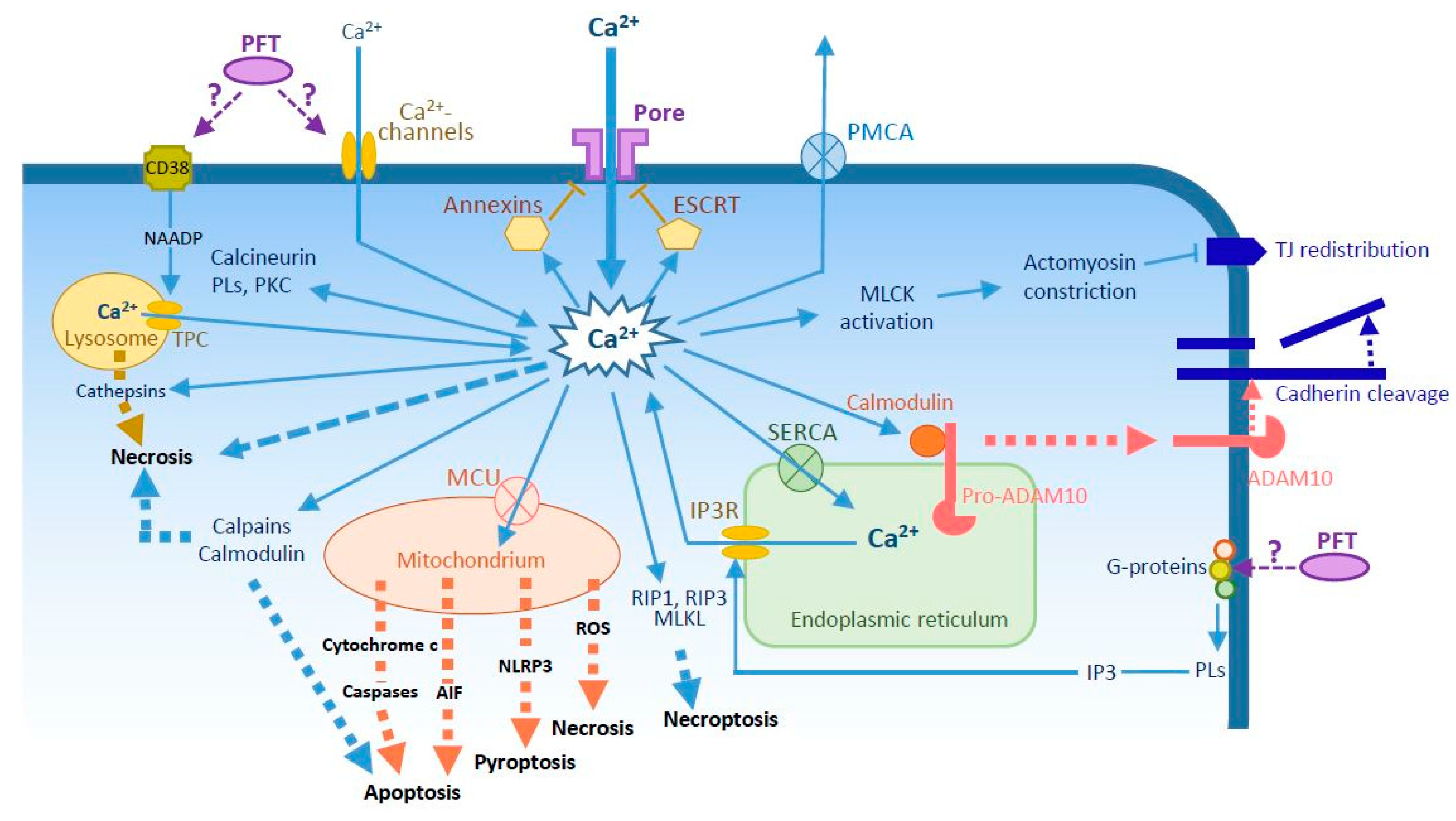 Toxins 10 00387 g001