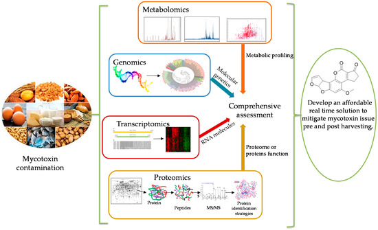 Toxins Free FullText Current Status and Future