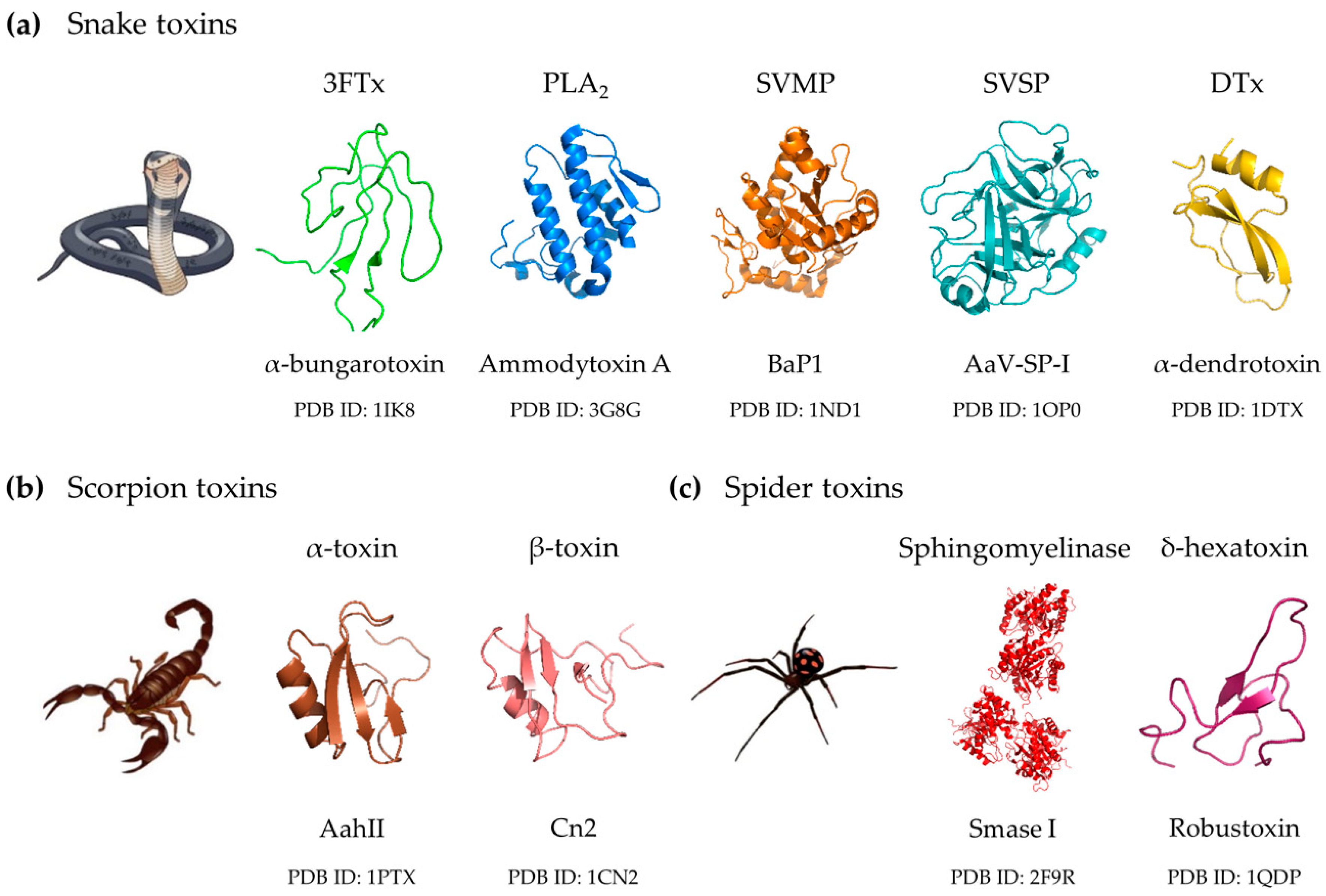 belonging to each clinically relevant toxin family. (bold a/bold) Snake tox...