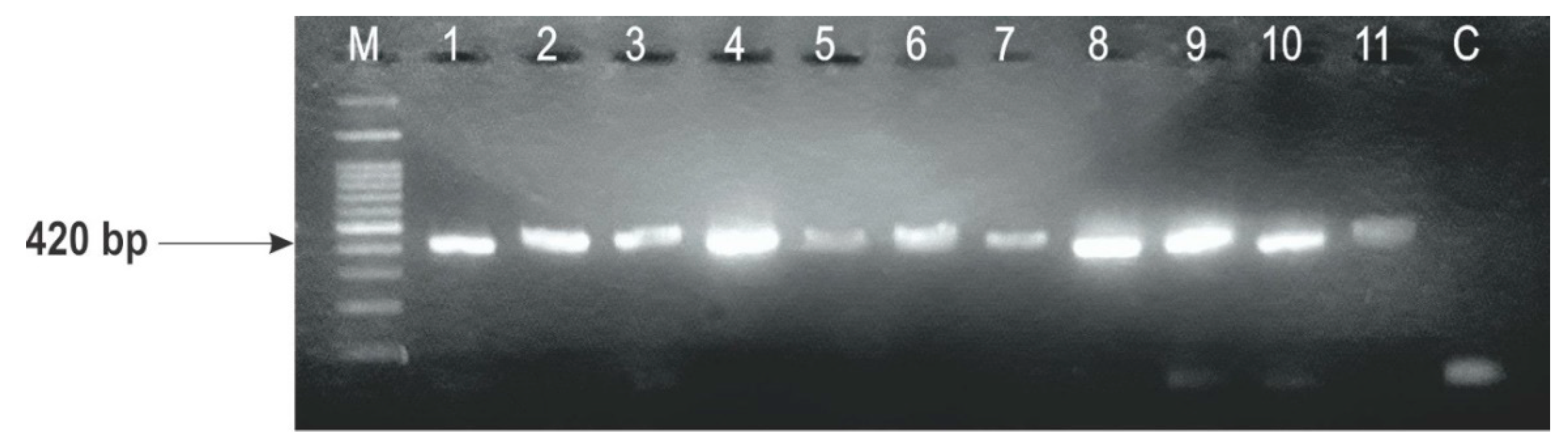 Toxins 10 00460 g002 550