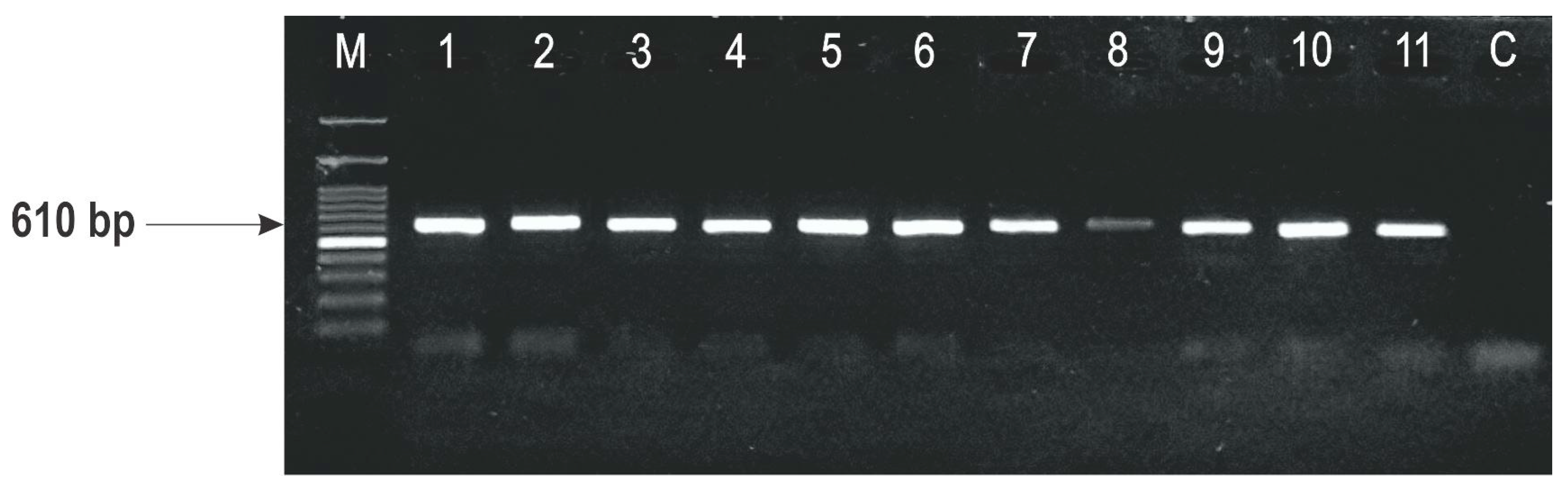 Toxins 10 00460 g004 550