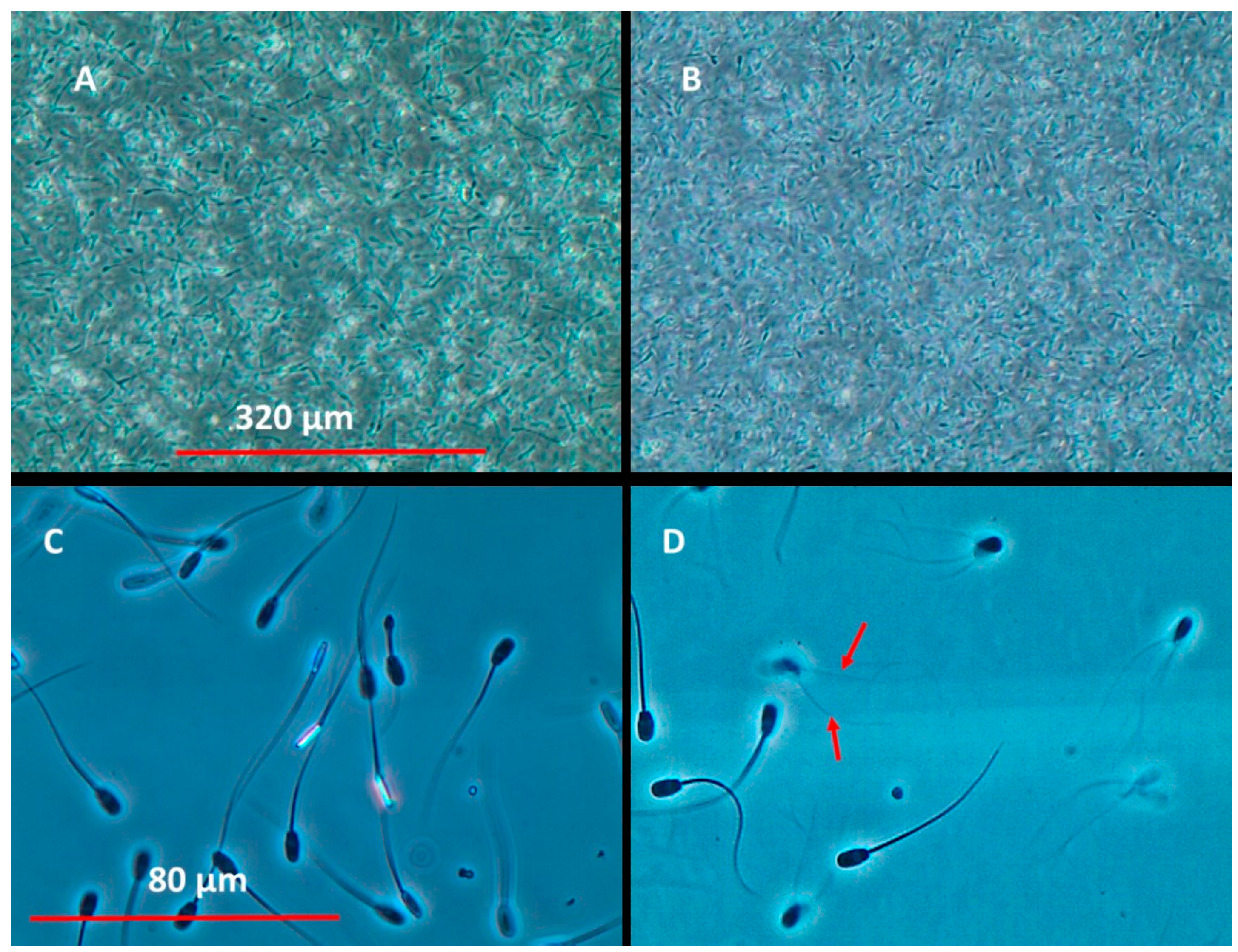 Toxins 10 00463 g001