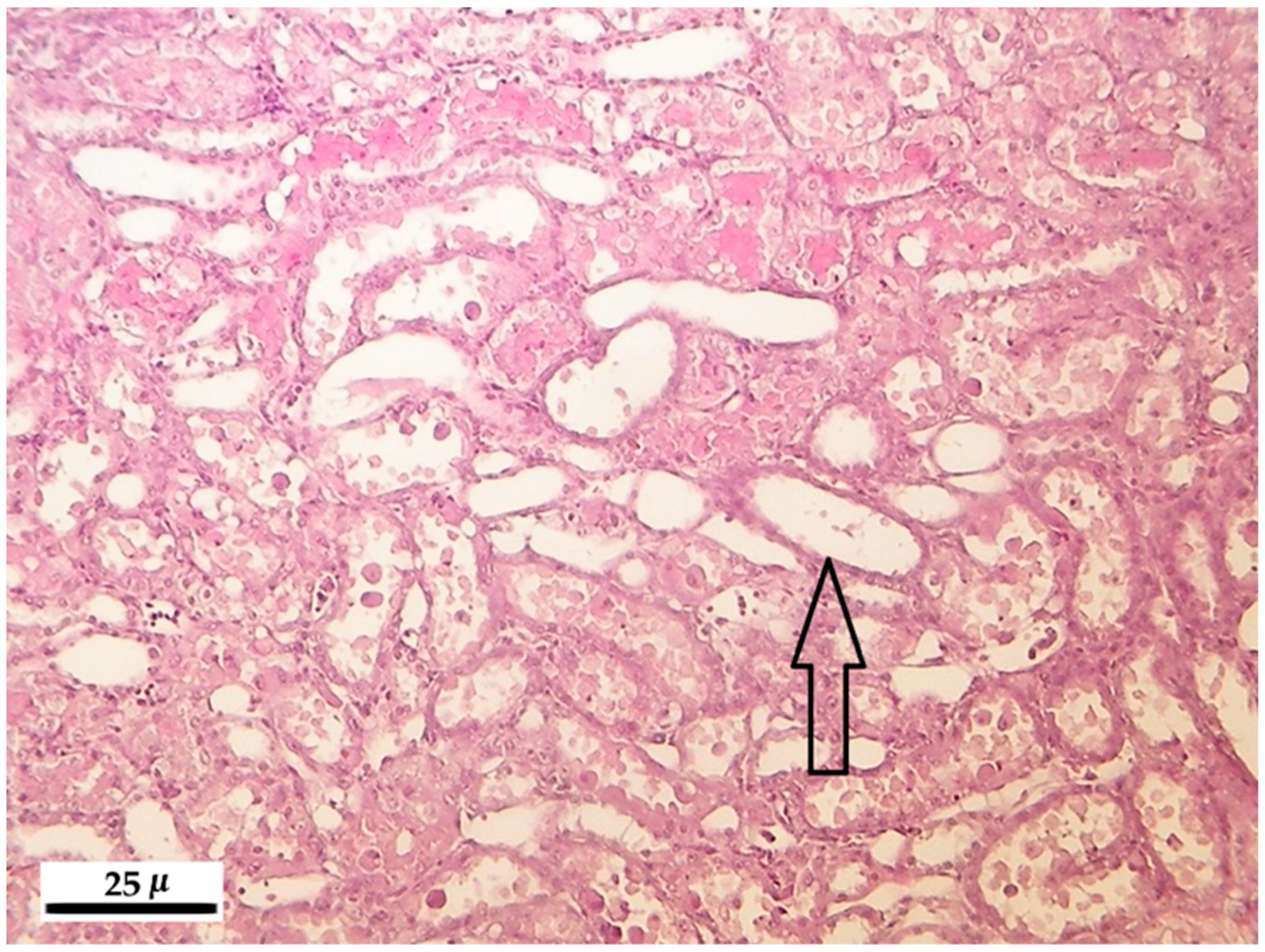 Toxins 10 00465 g004