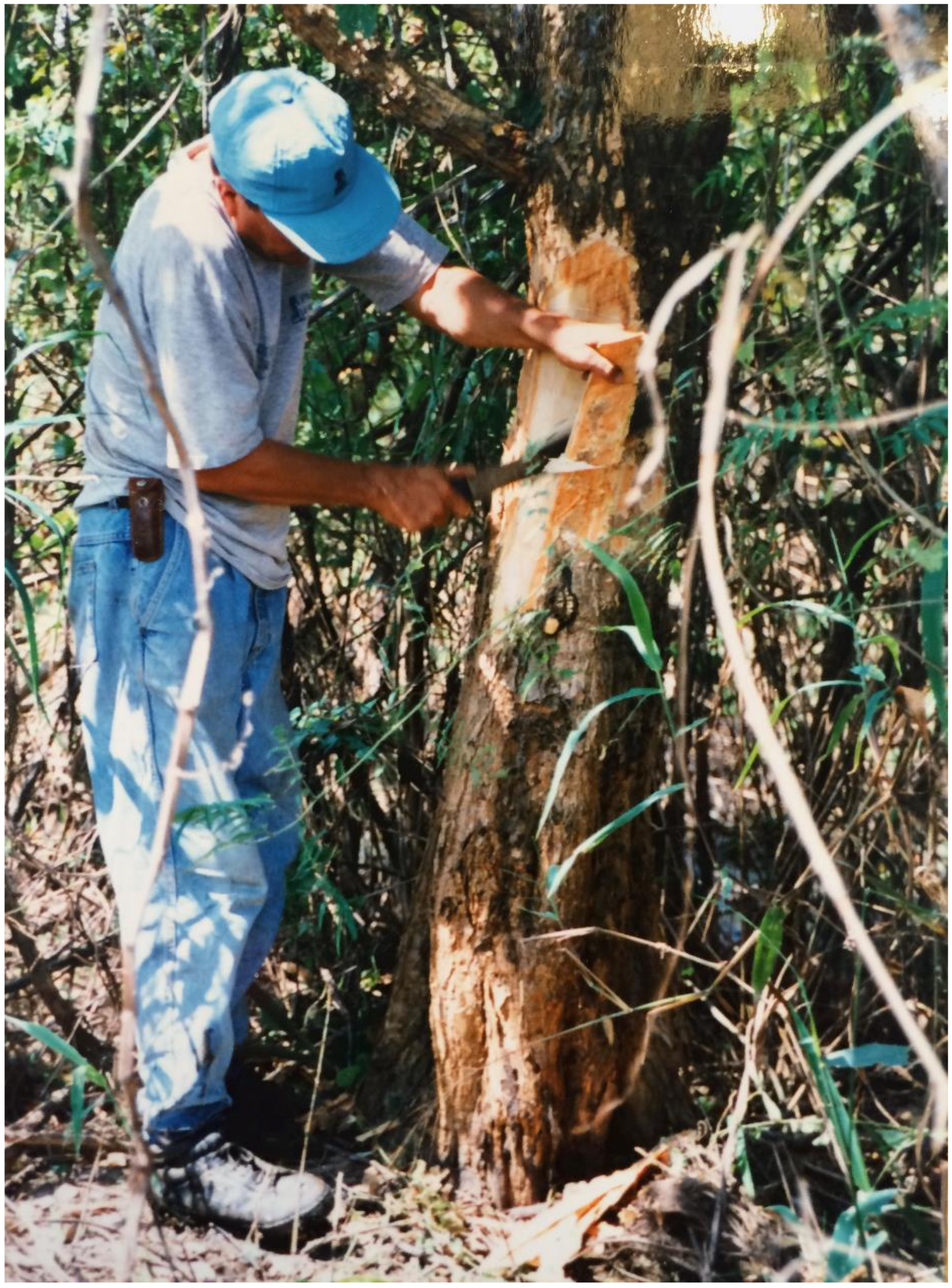 Toxins 10 00491 g004