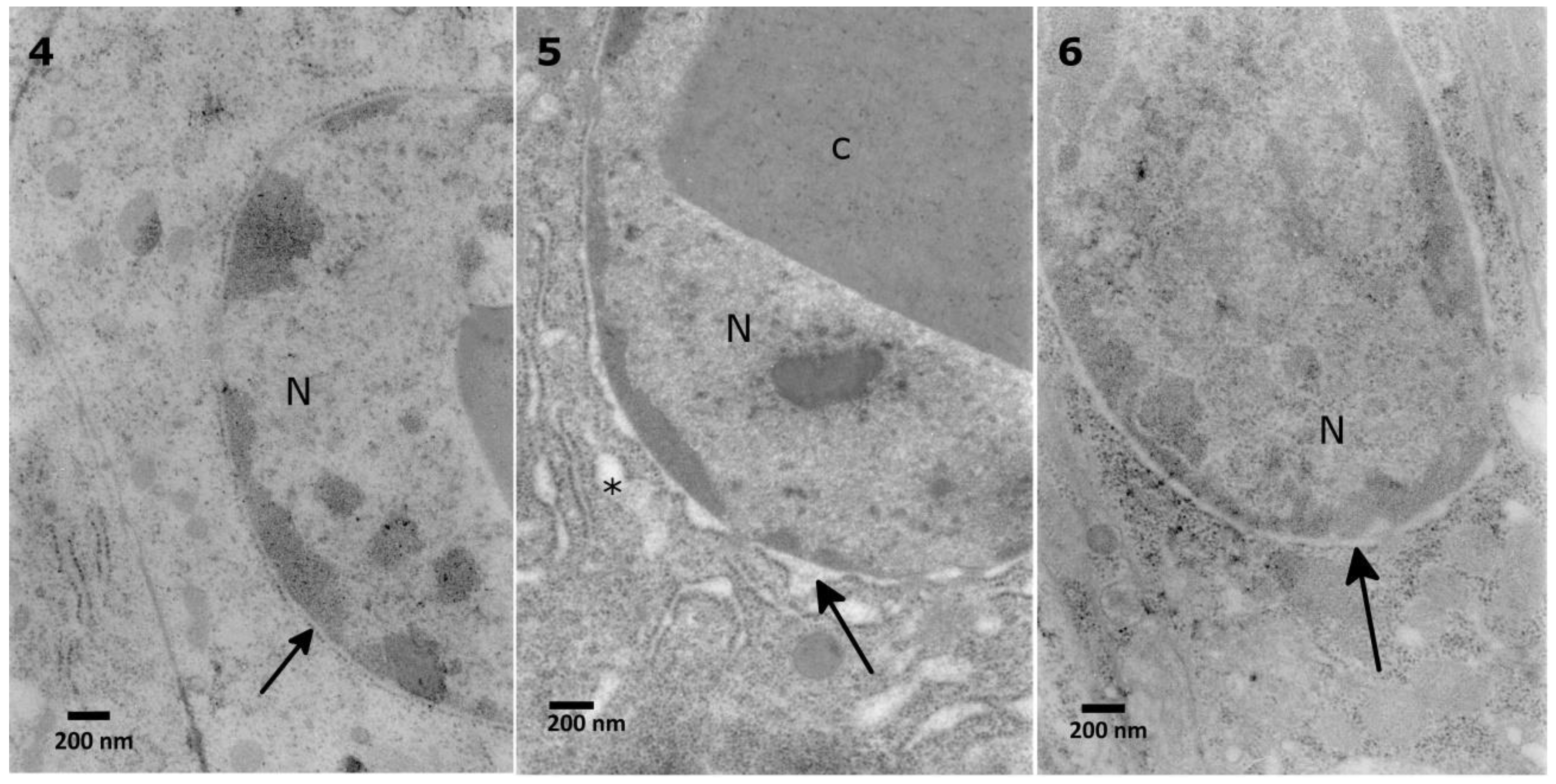 Toxins 10 00504 g006
