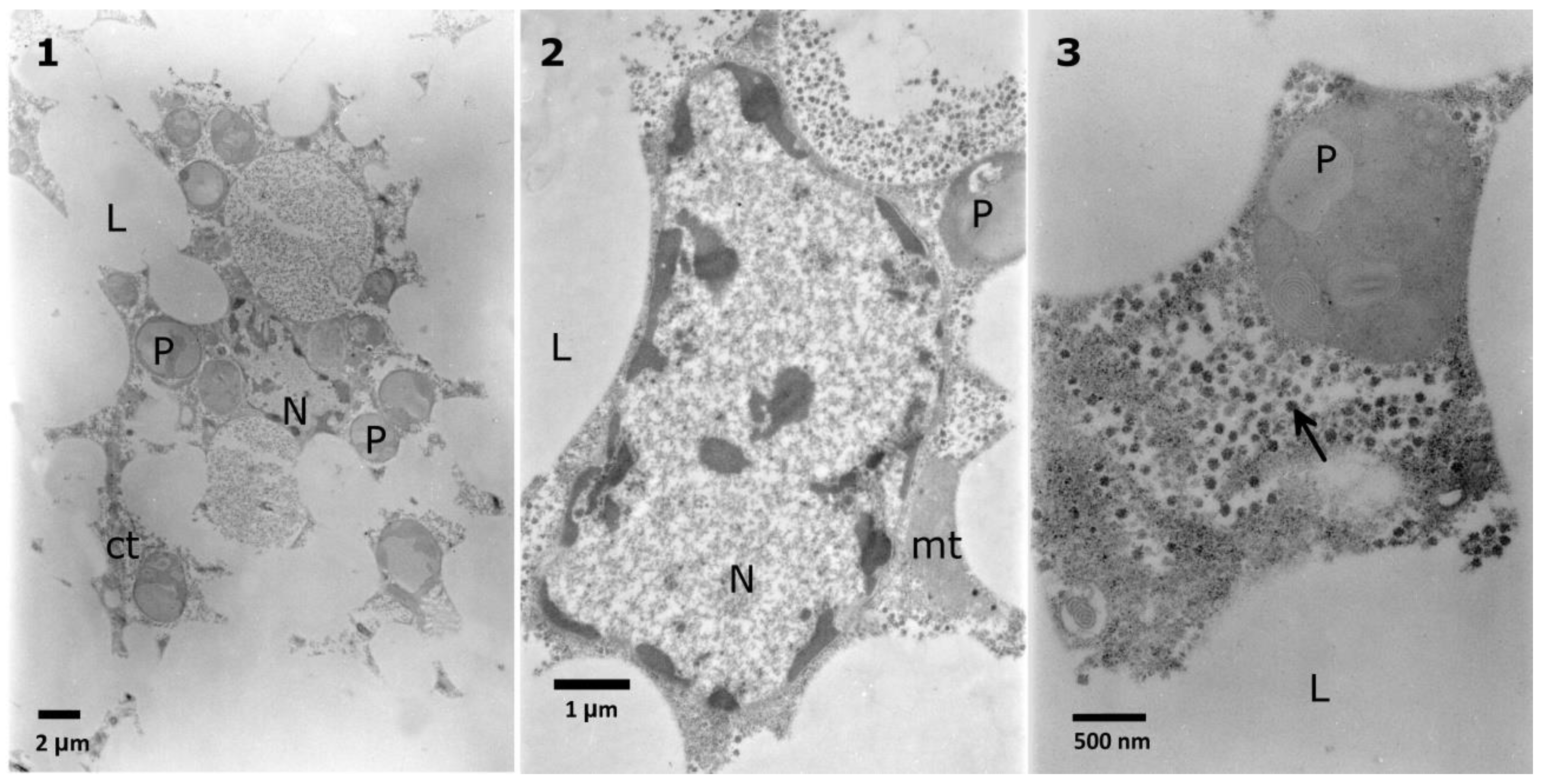 Toxins 10 00504 g009