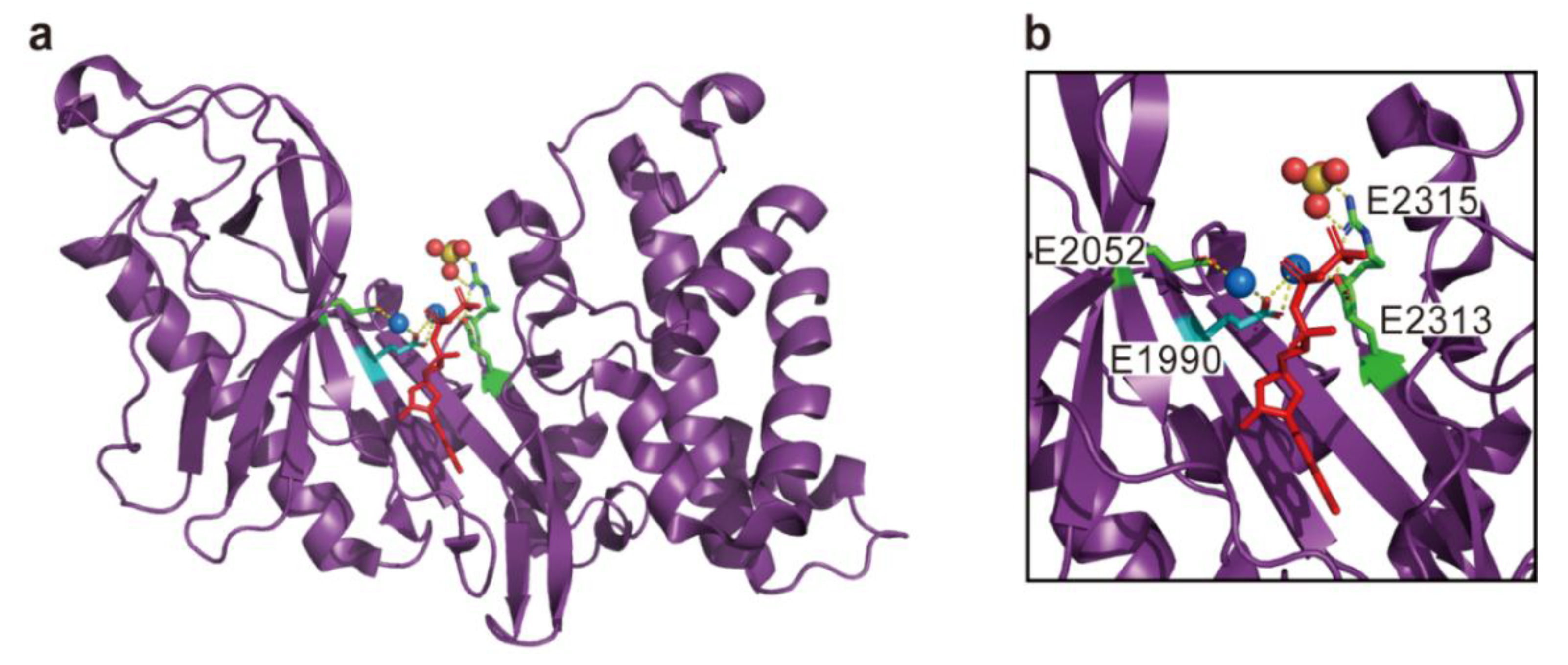 Toxins 10 00507 g002
