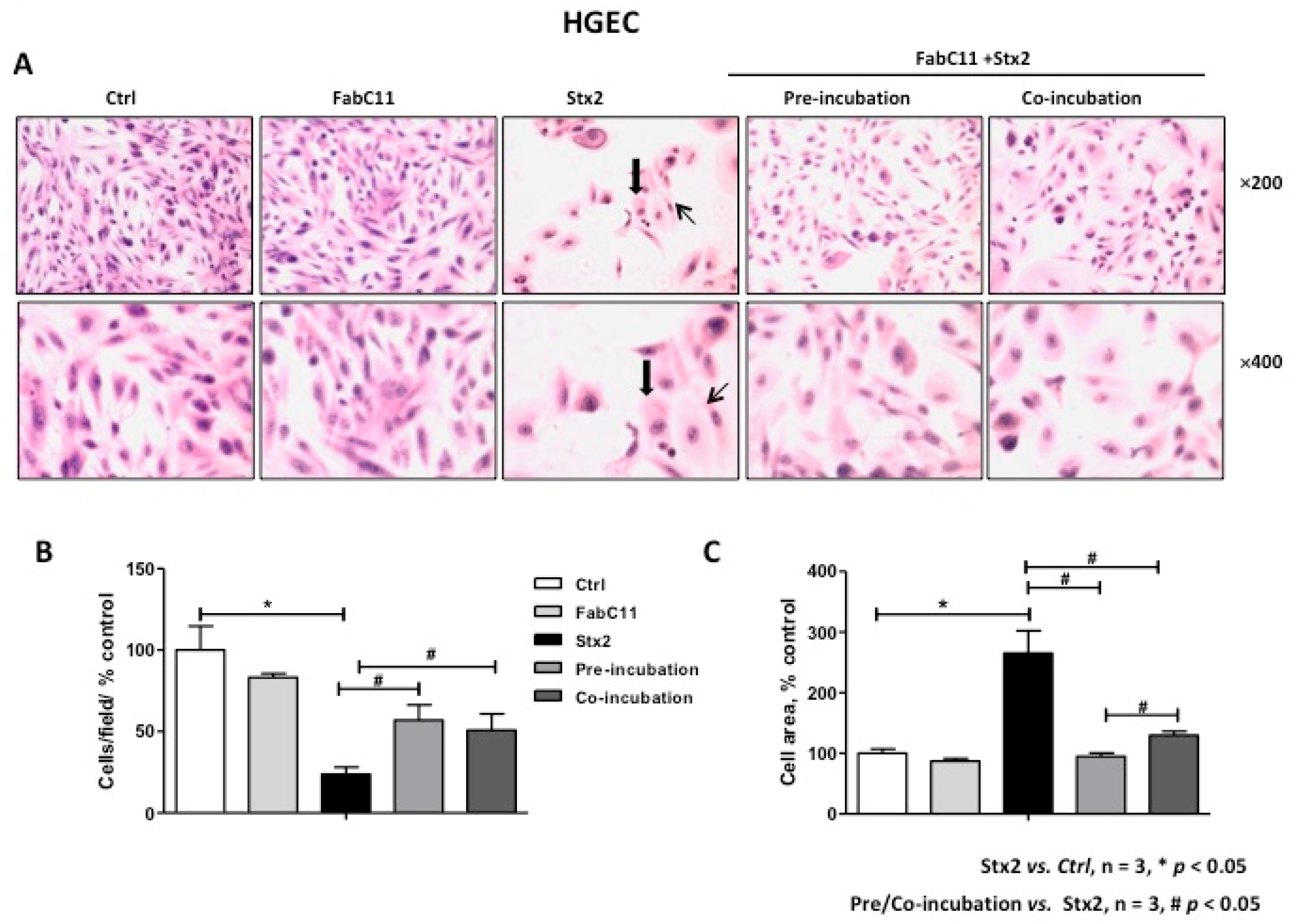 Toxins 10 00508 g002 Toxins 10 00508 g002