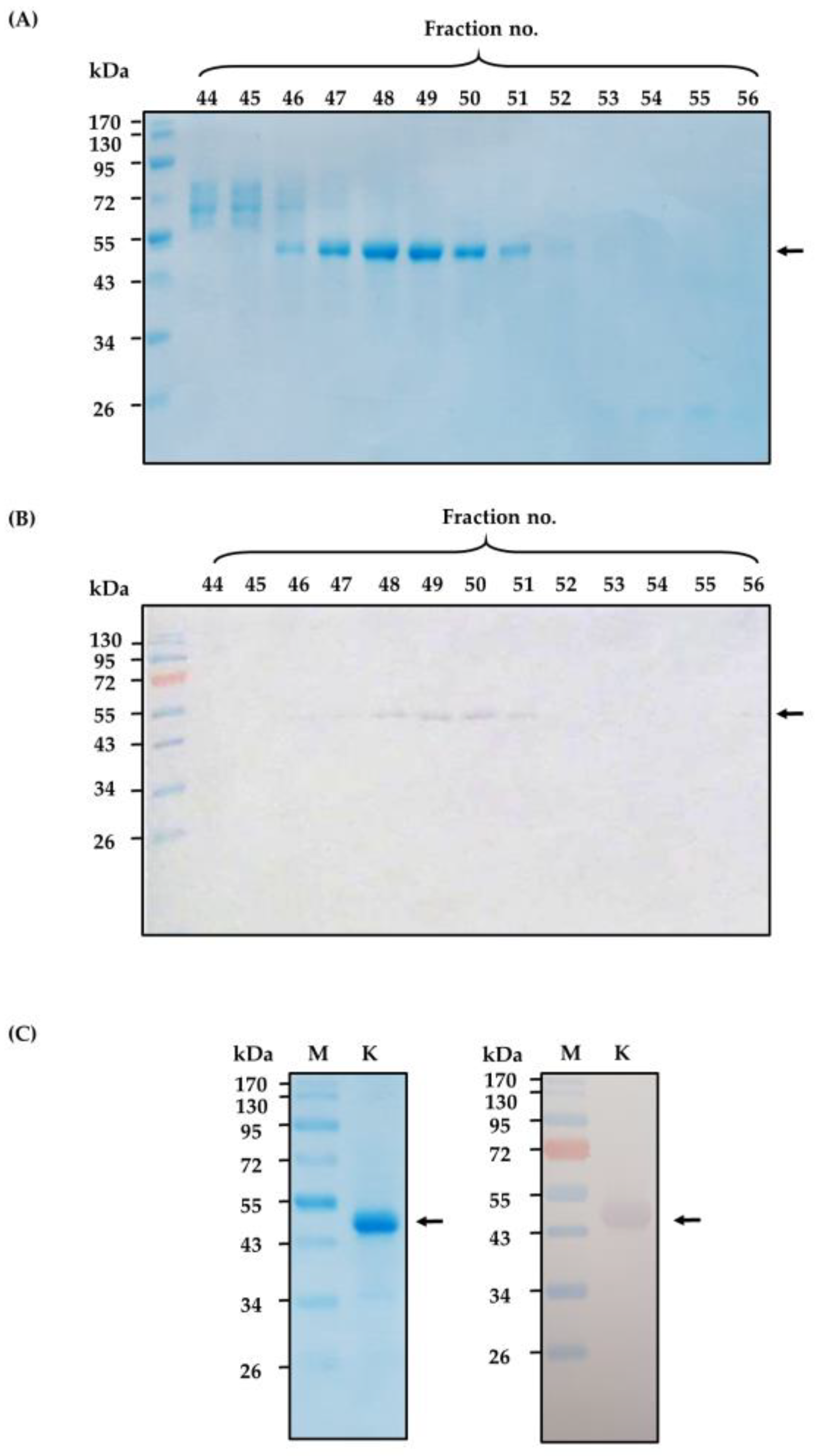 Toxins 10 00509 g002