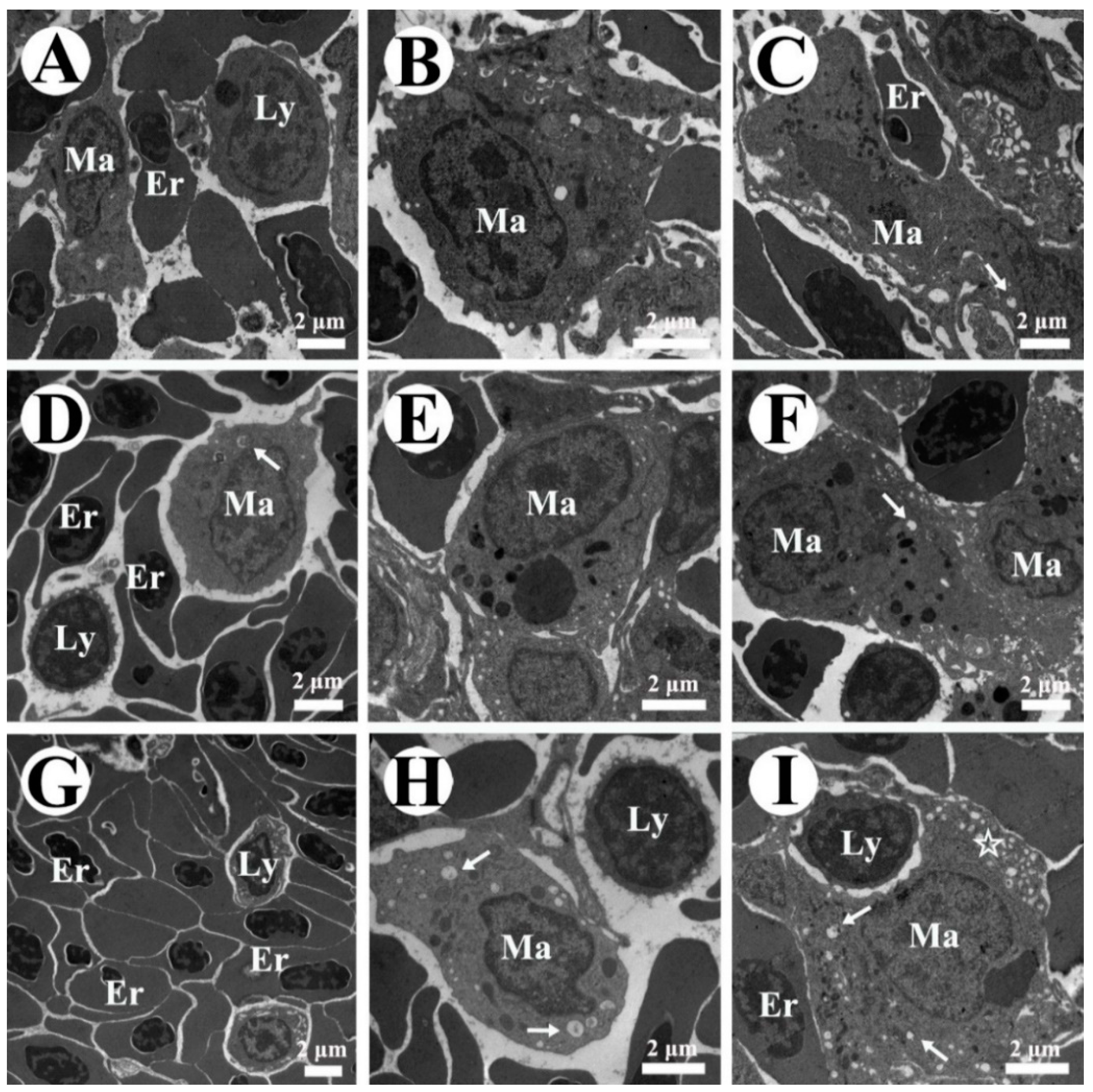 Toxins 10 00512 g004 Toxins 10 00512 g004