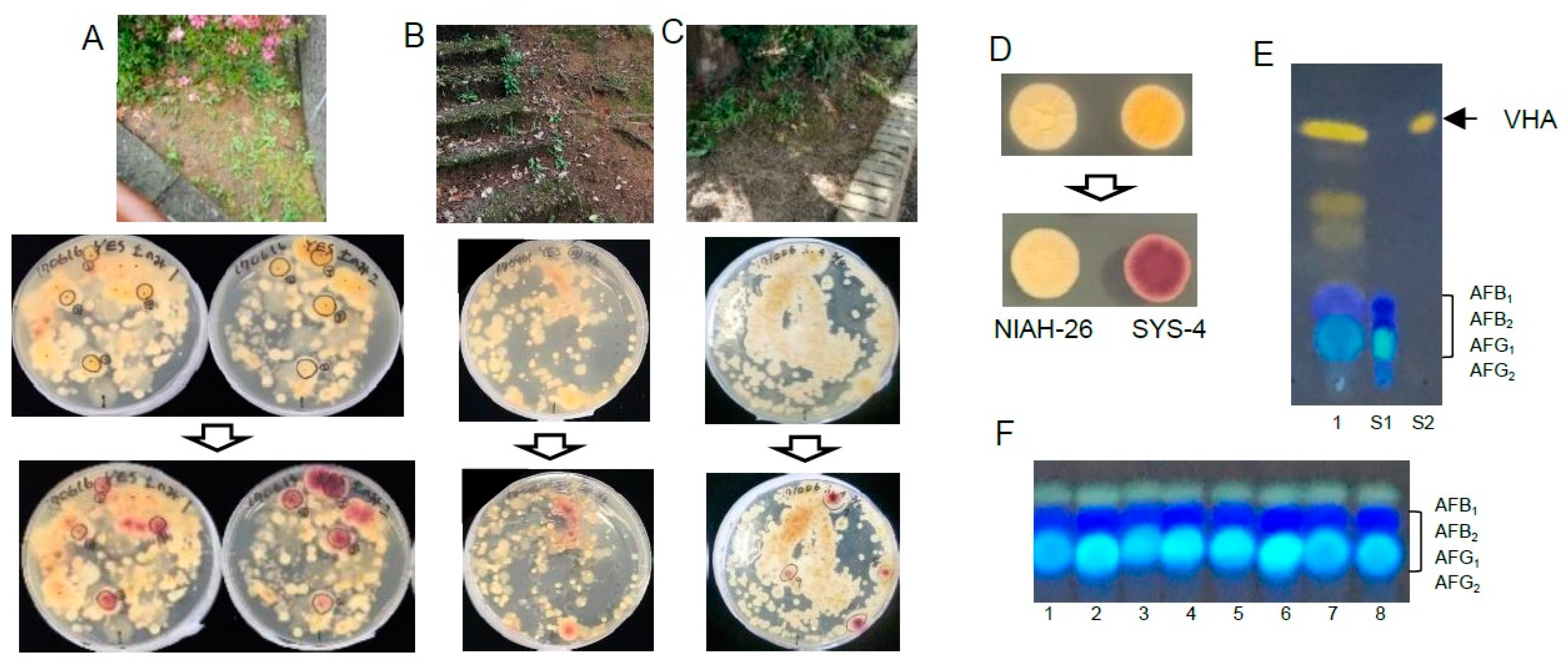 Toxins 10 00519 g006
