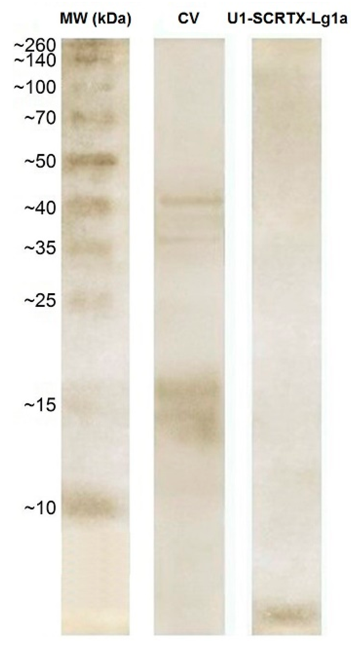 Toxins 10 00522 g004 Toxins 10 00522 g004