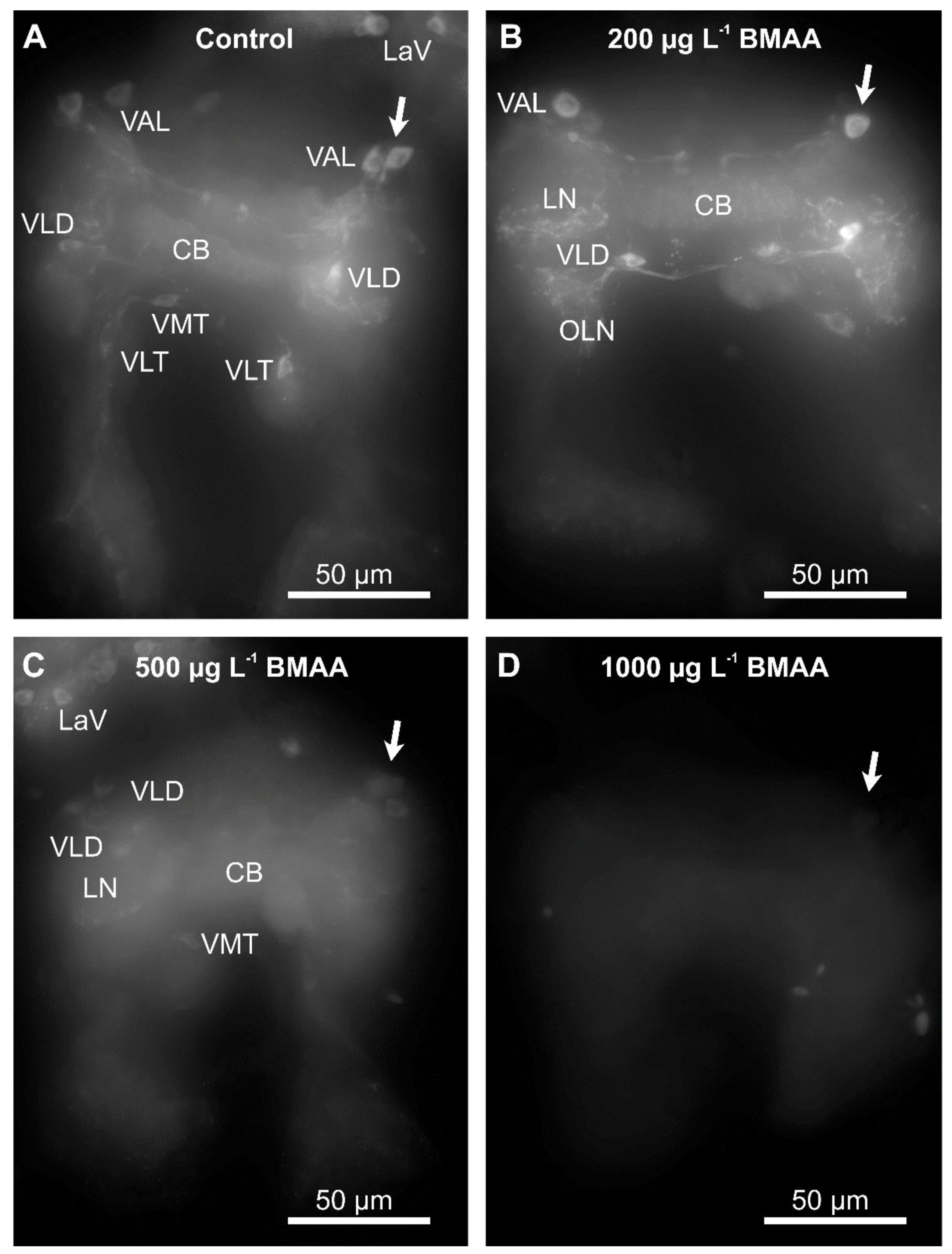 Toxins 10 00527 g006 Toxins 10 00527 g006